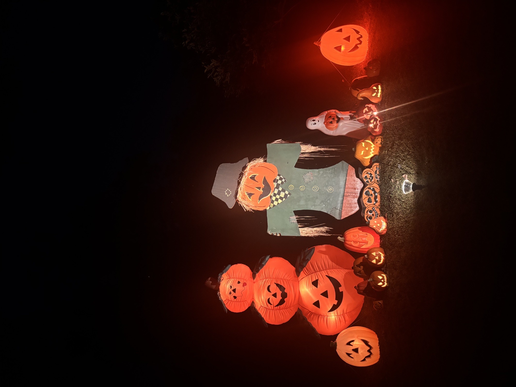 HallowHarvest