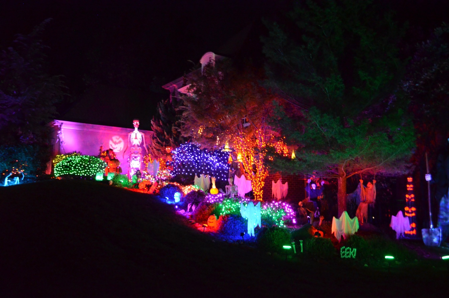 Bickel’s Bewitched Boneyard