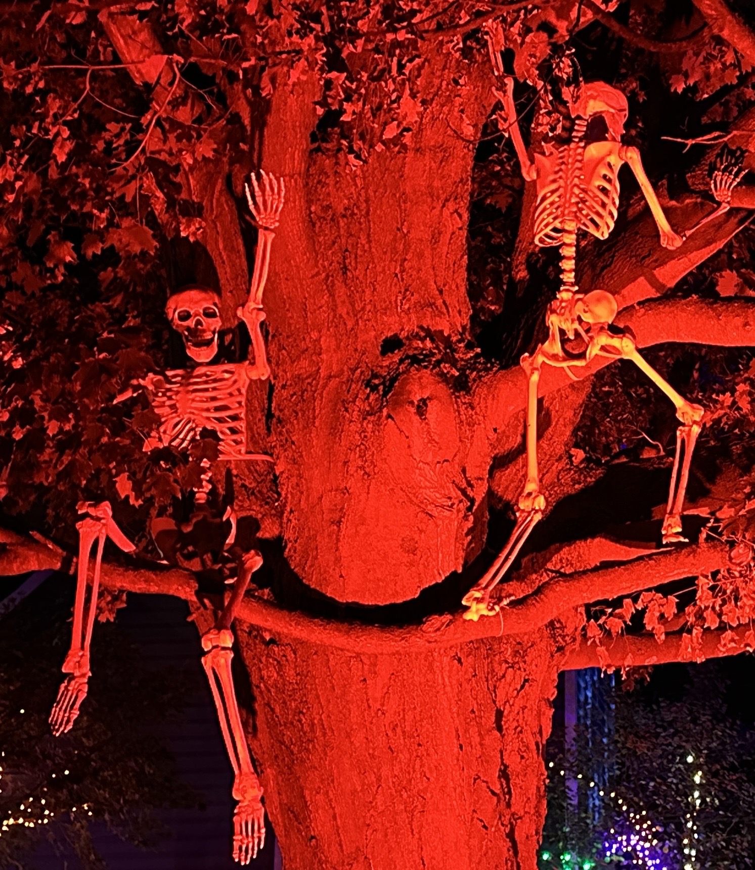 James Family Haunted Manor