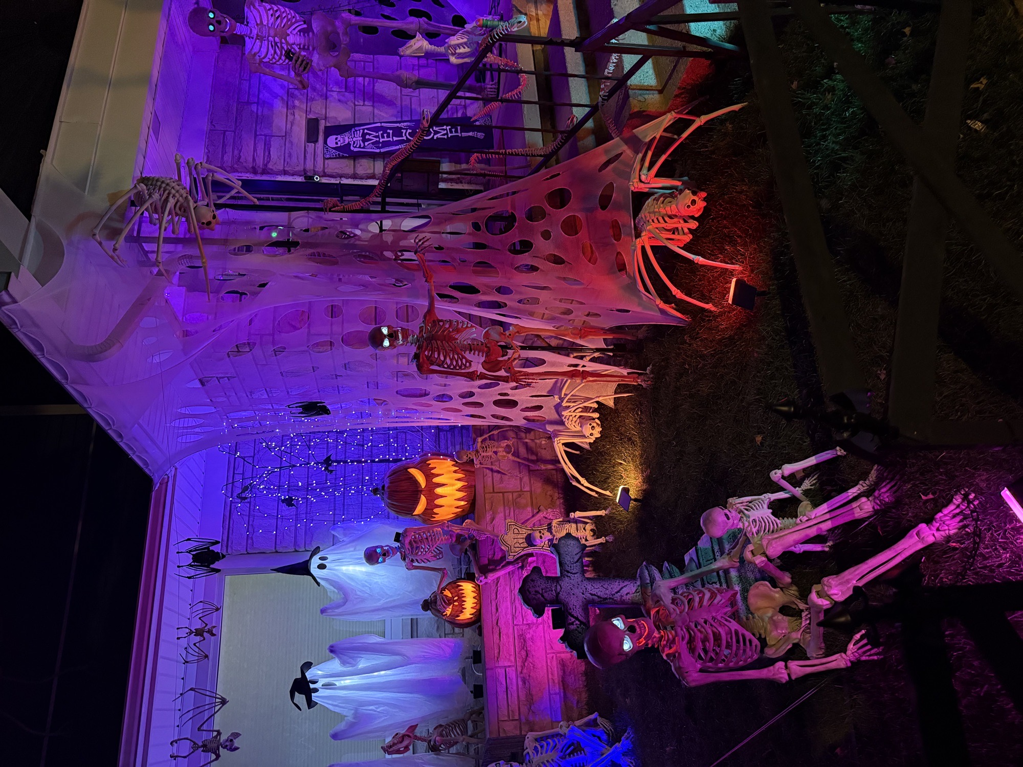 Skelly Frights