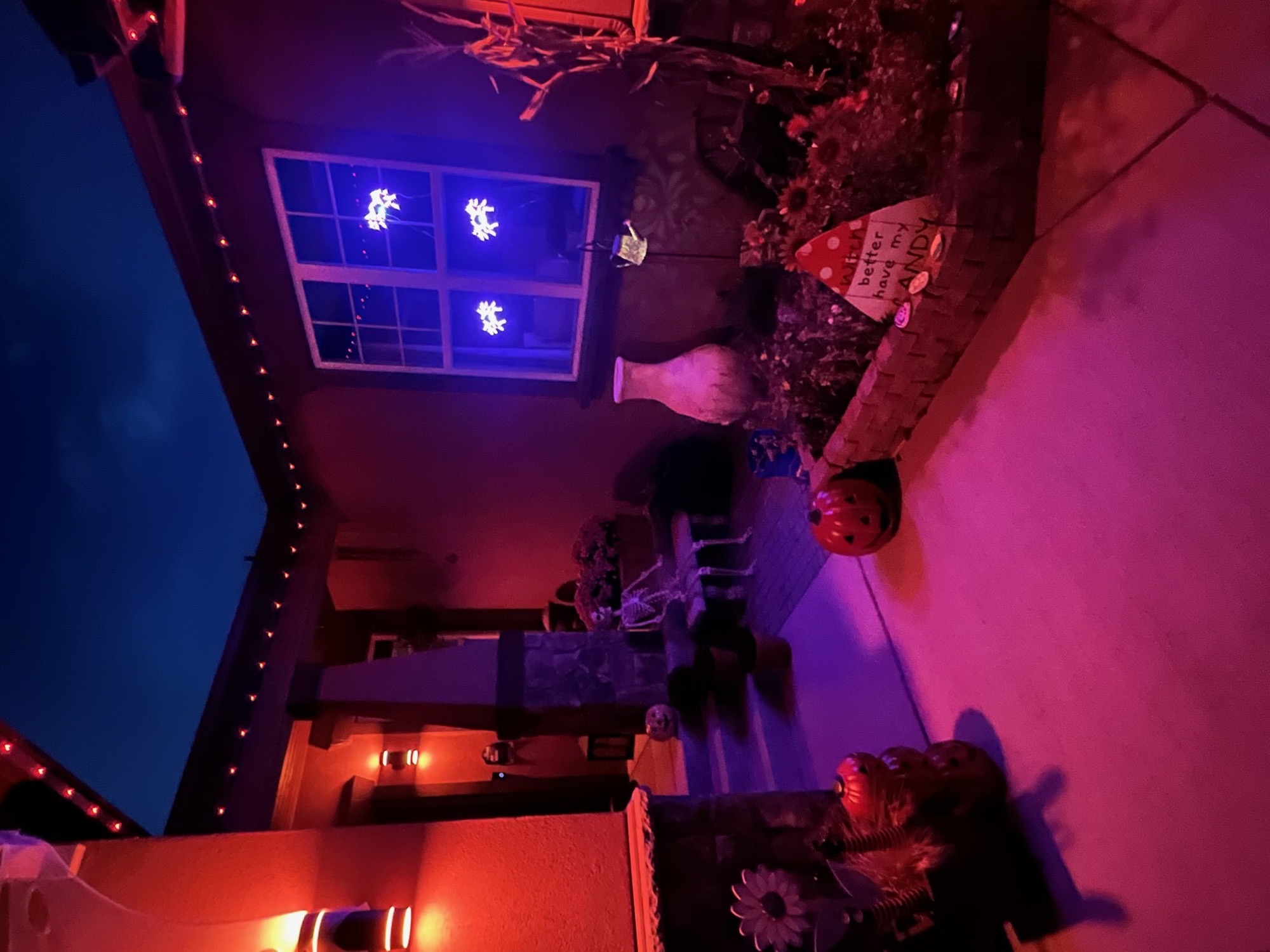 Fright Night On Winding Shock Dr