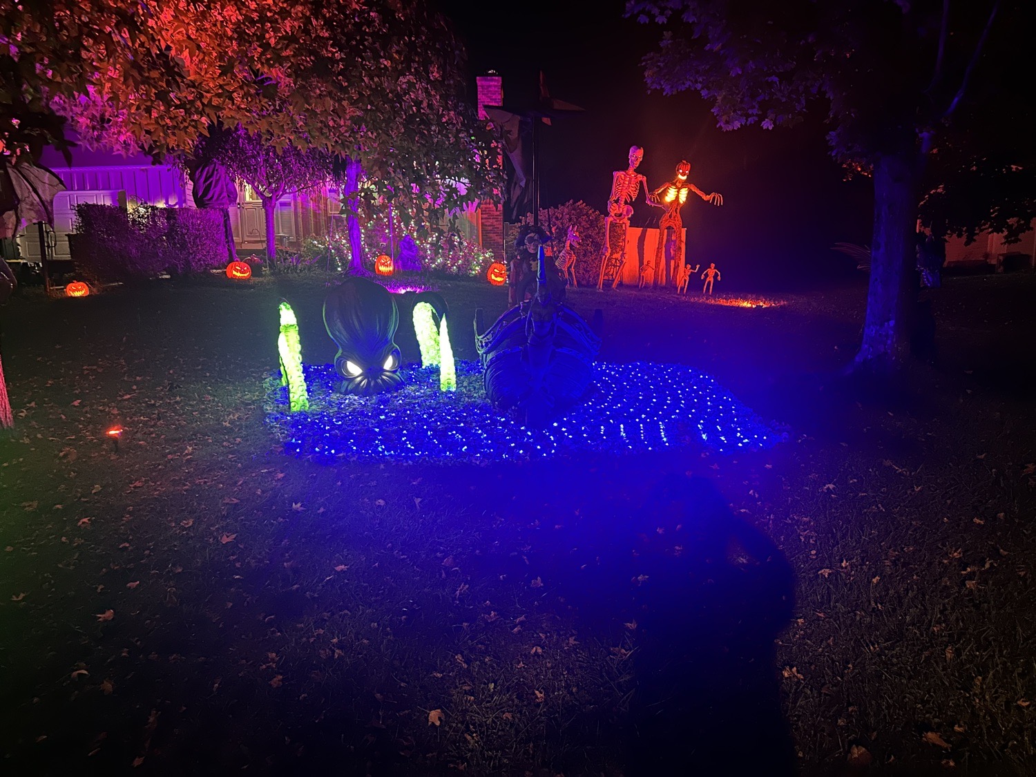Petrocci Halloween On The Hill