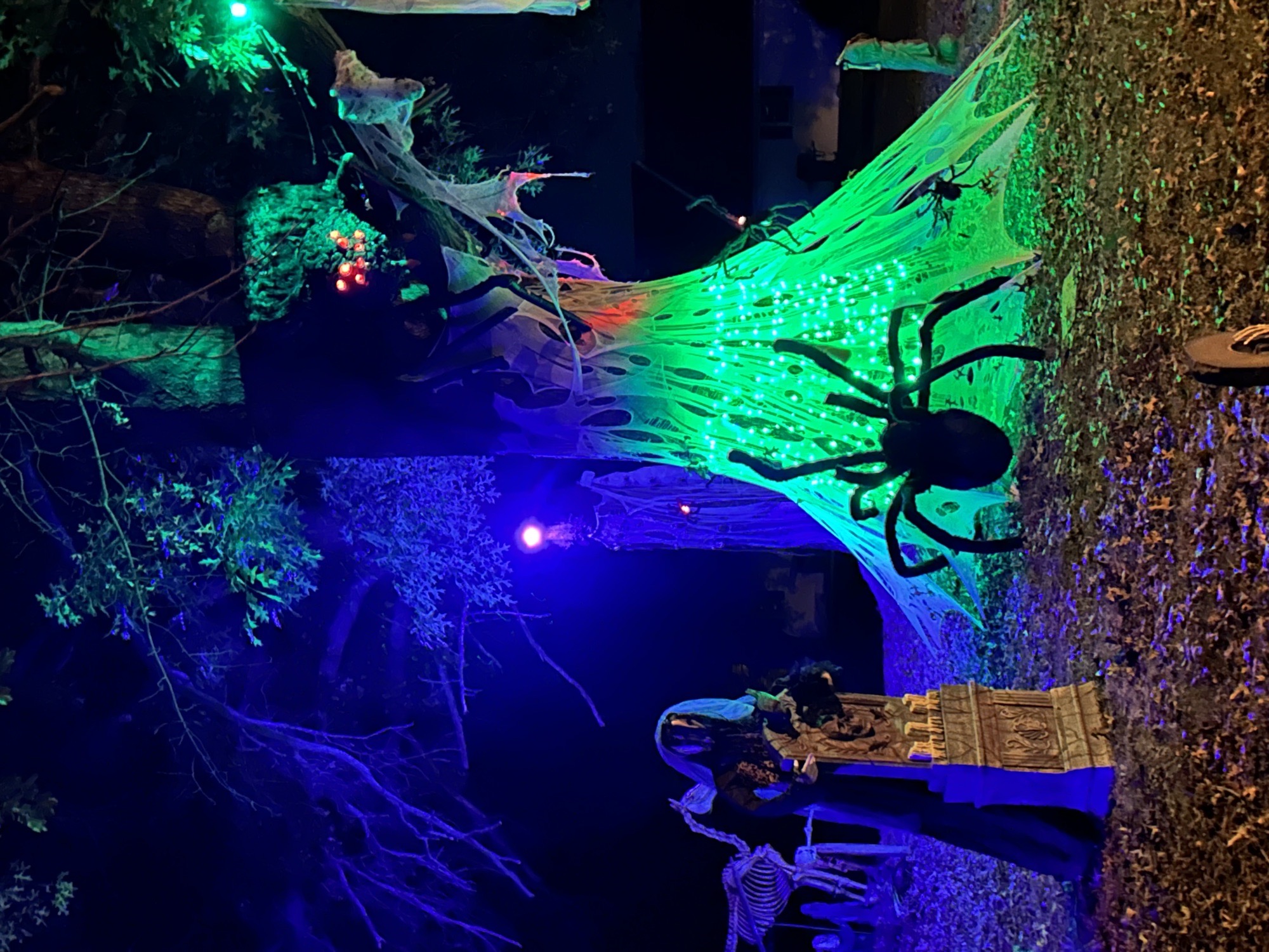 spider house