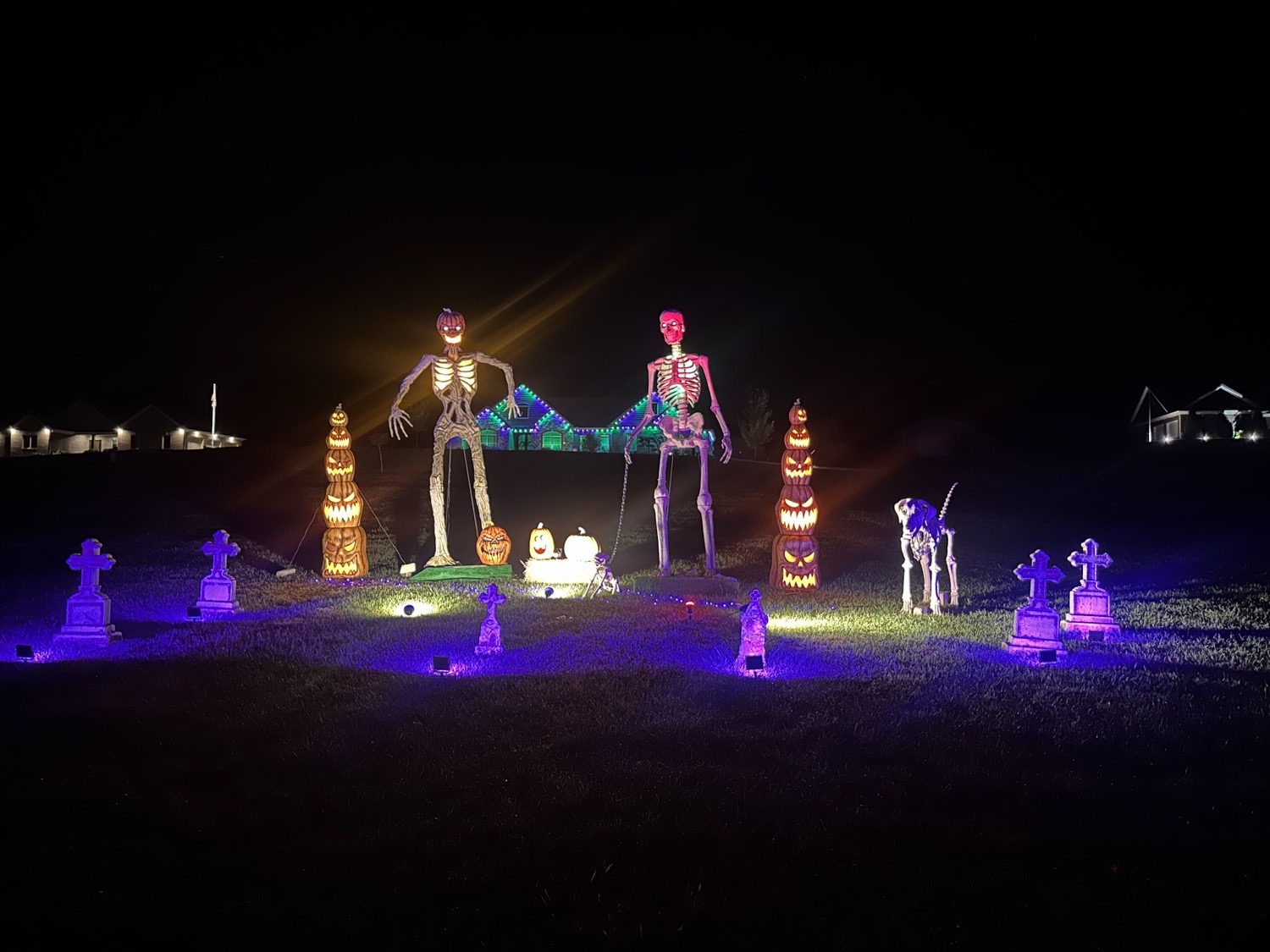 Skelly and Friends