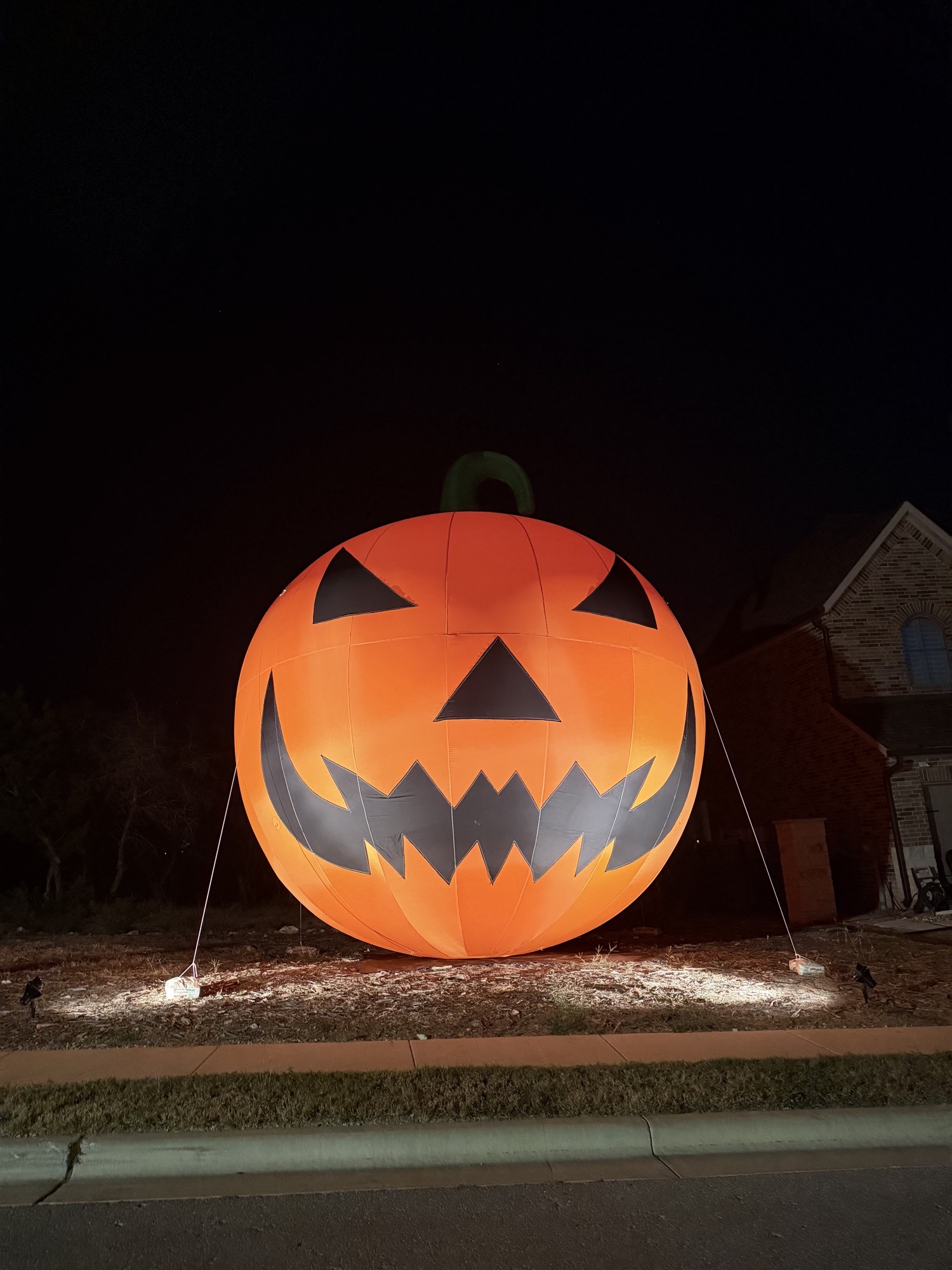 Giant Pumpkin