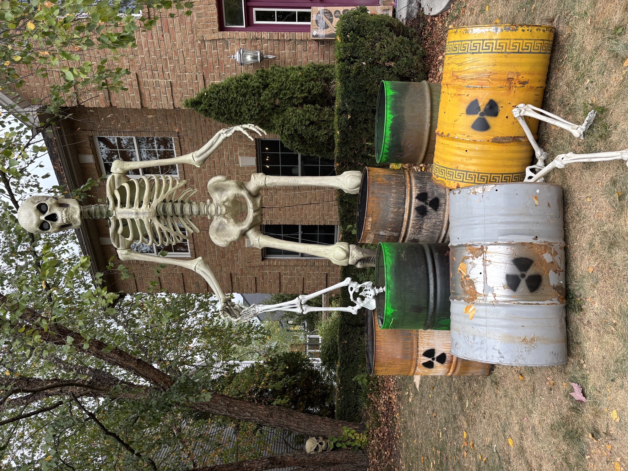 Benion Bone yard