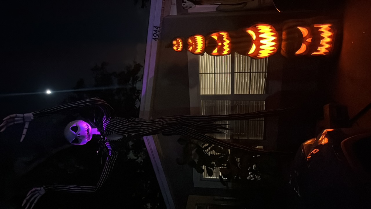 Disston Heights Hocus Pocus