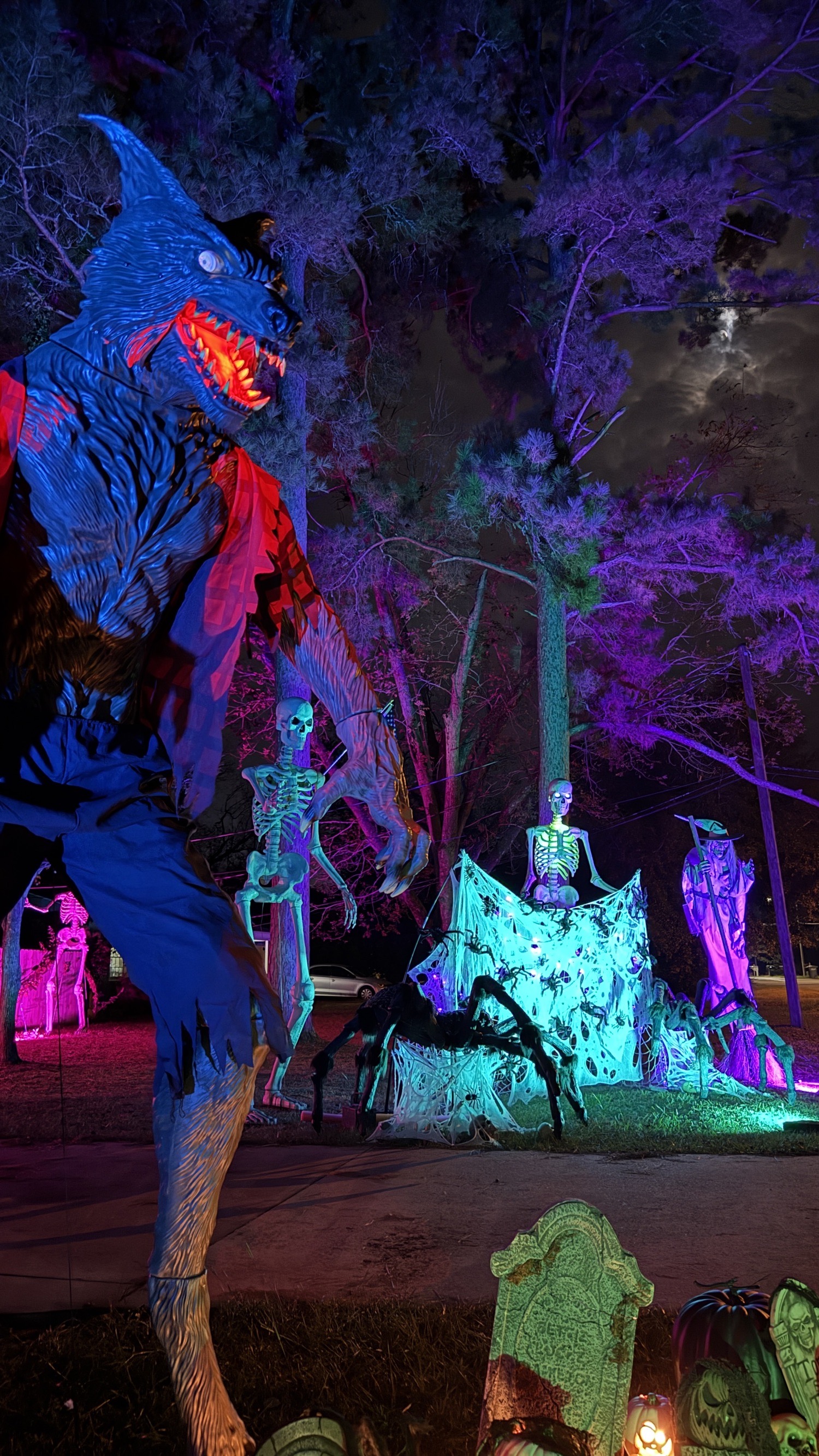 The Royal Haunt