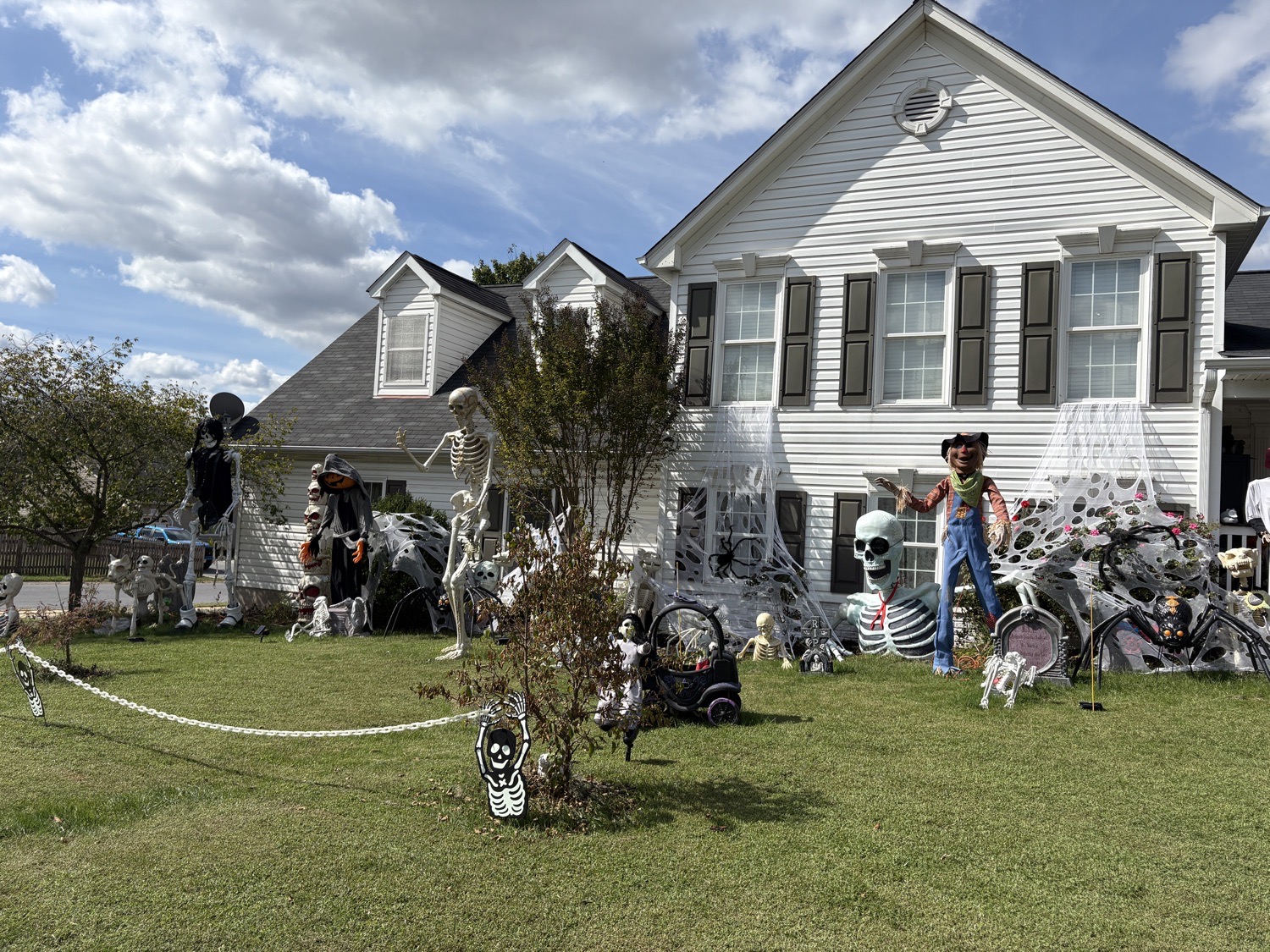 Freaky Yard