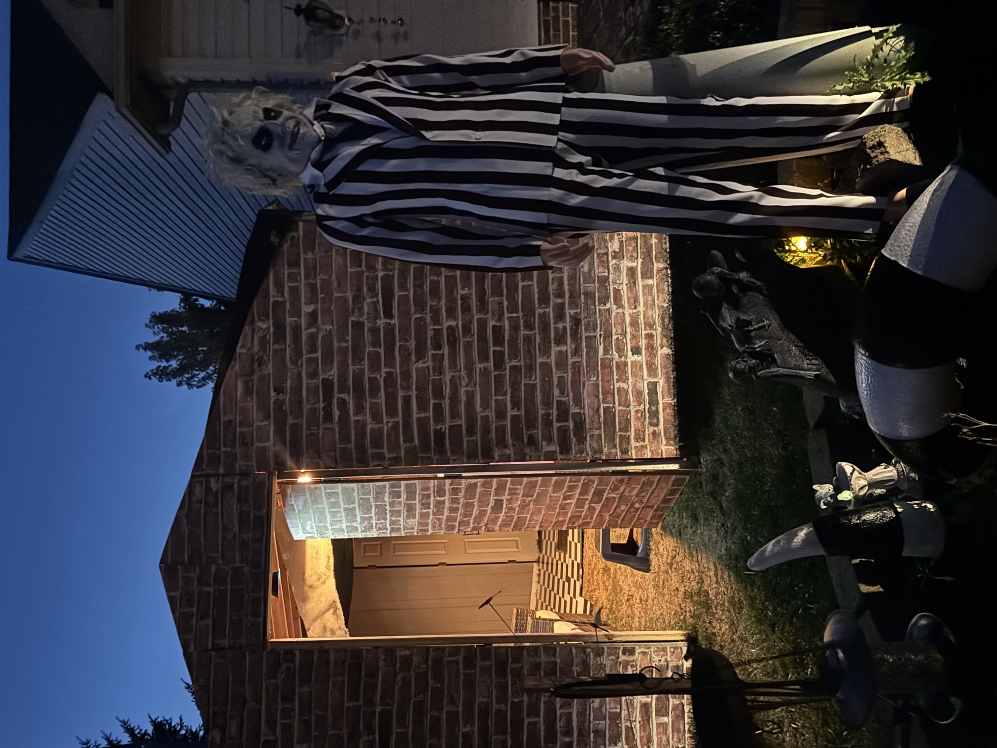 Beetlejuice Corn Maze  / Corn Slide