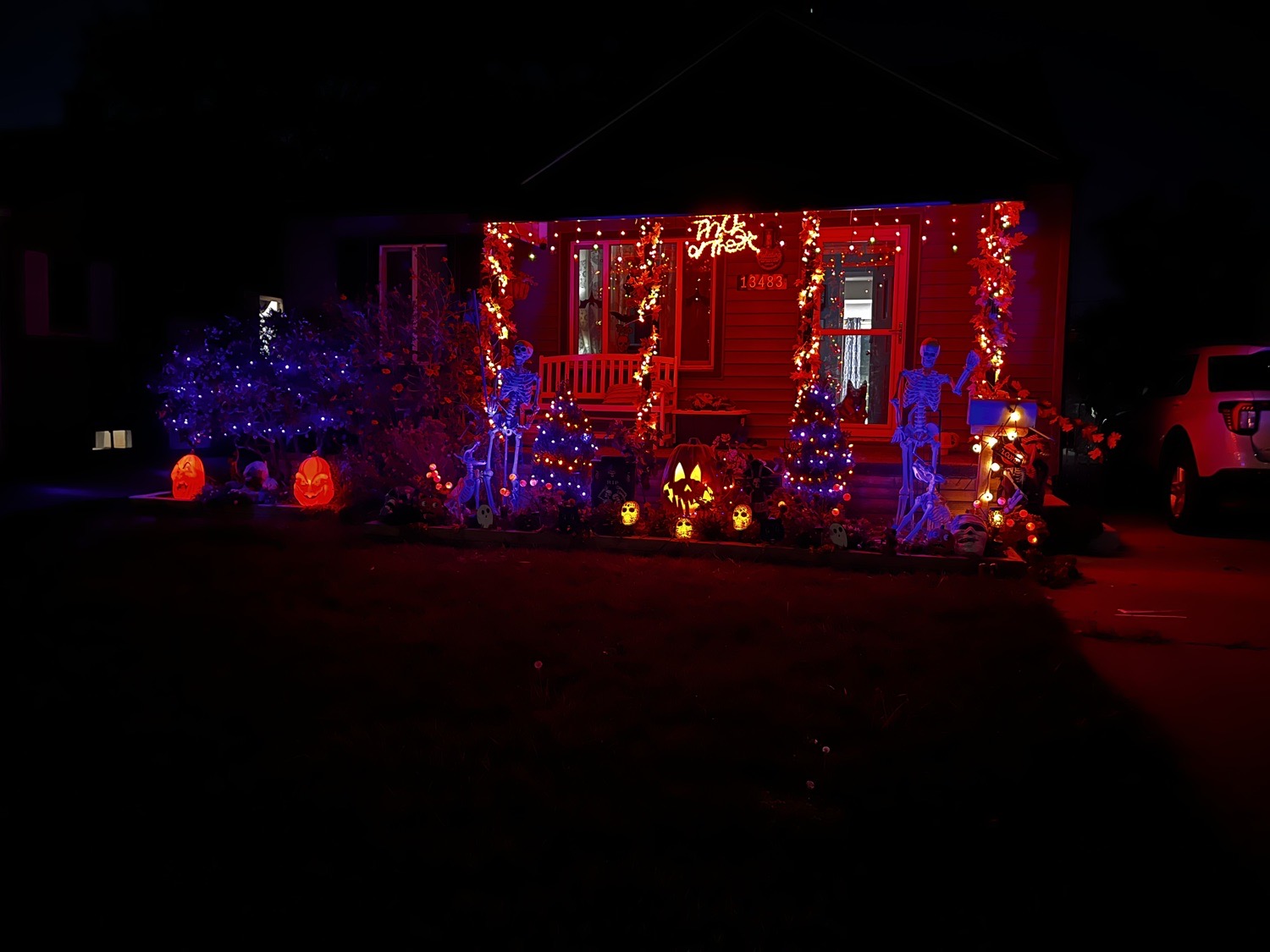 Lights Pumpkins Skeletons Oh My!