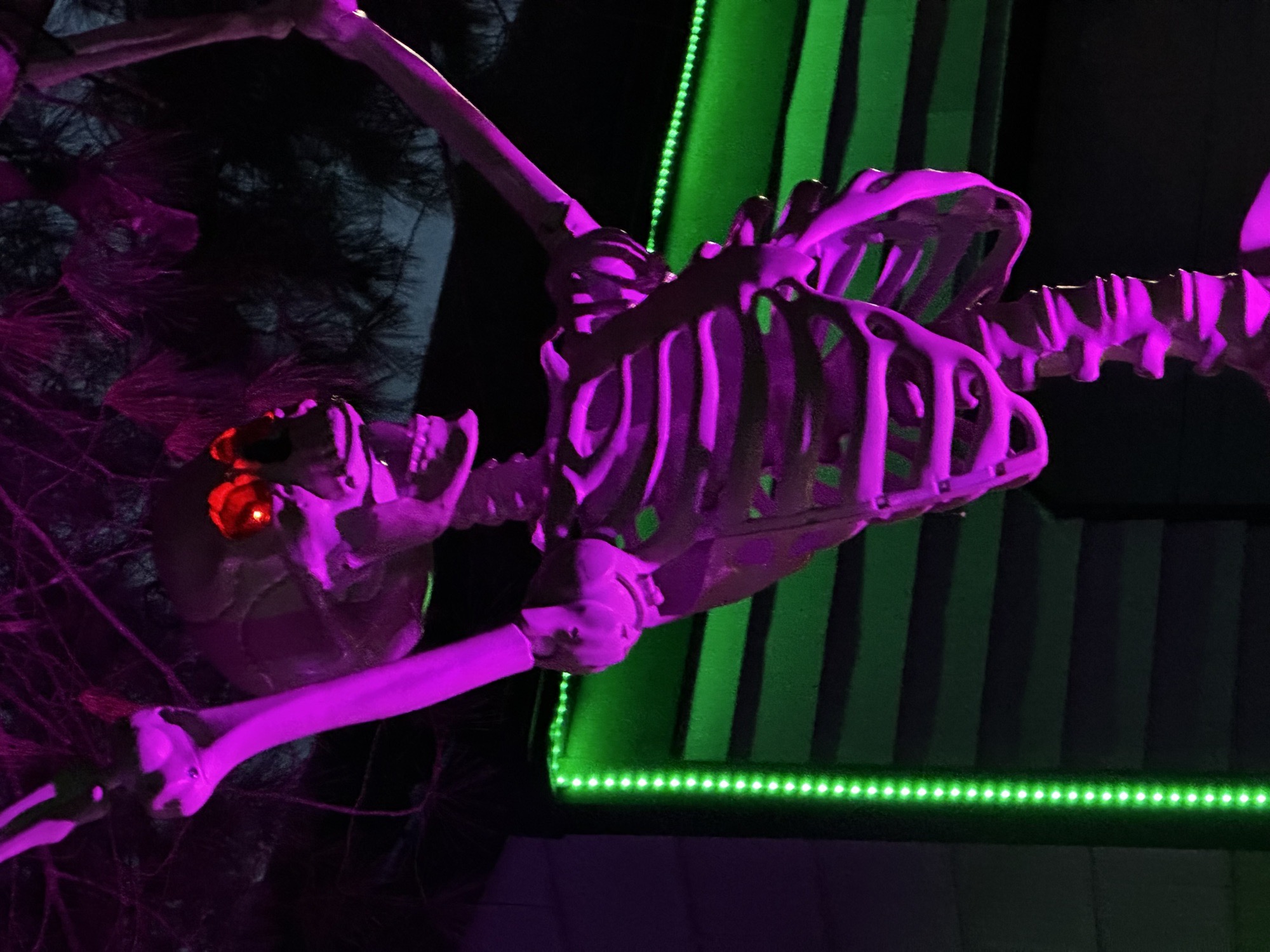 The Conte’s Haunted Halloween Display