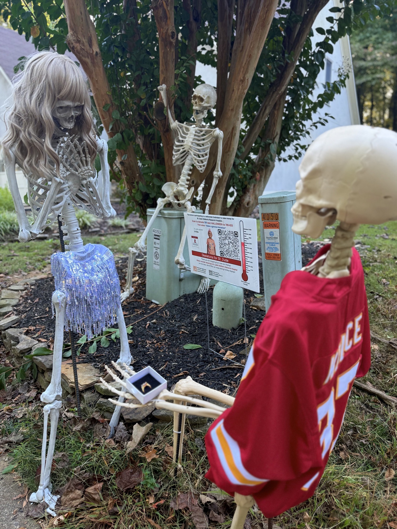Spooktacular Skeletons