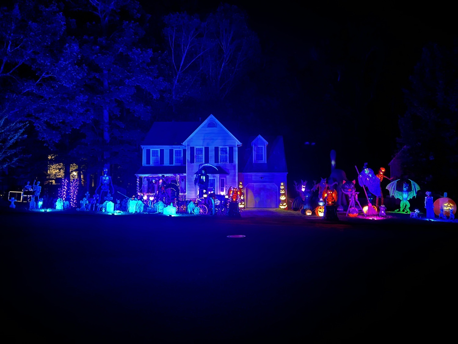 The amber forest “bottom of the hill house”