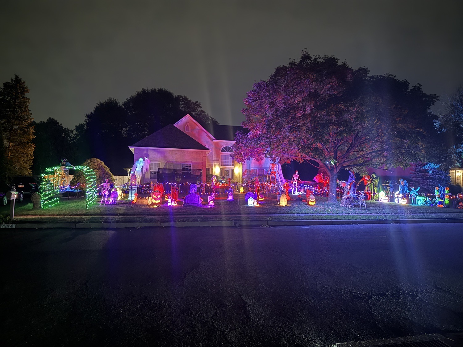 Light Up 394