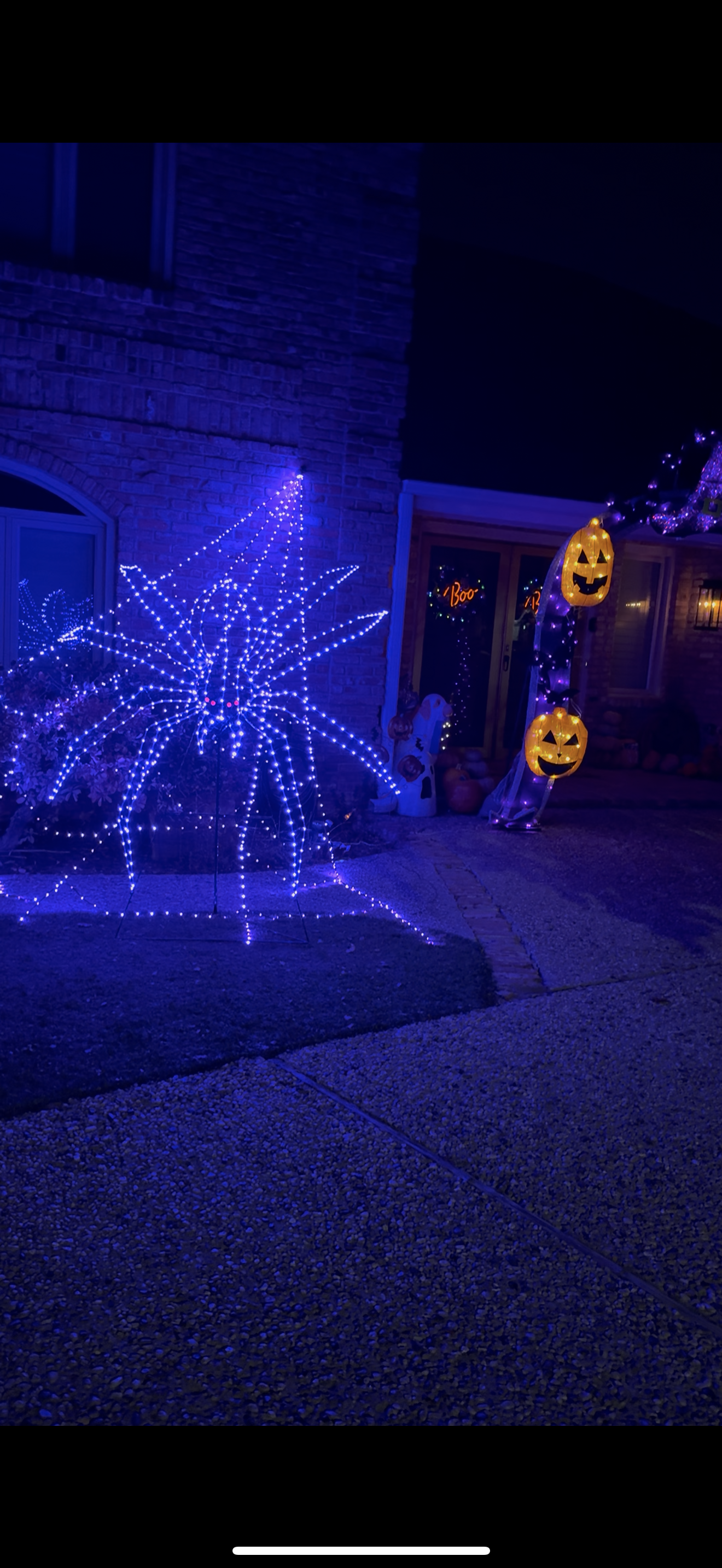 Skeletons Vs Pumpkins