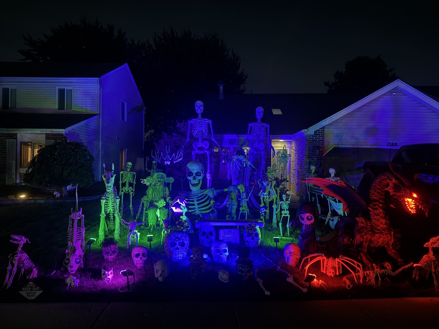 Skeleton Kingdom