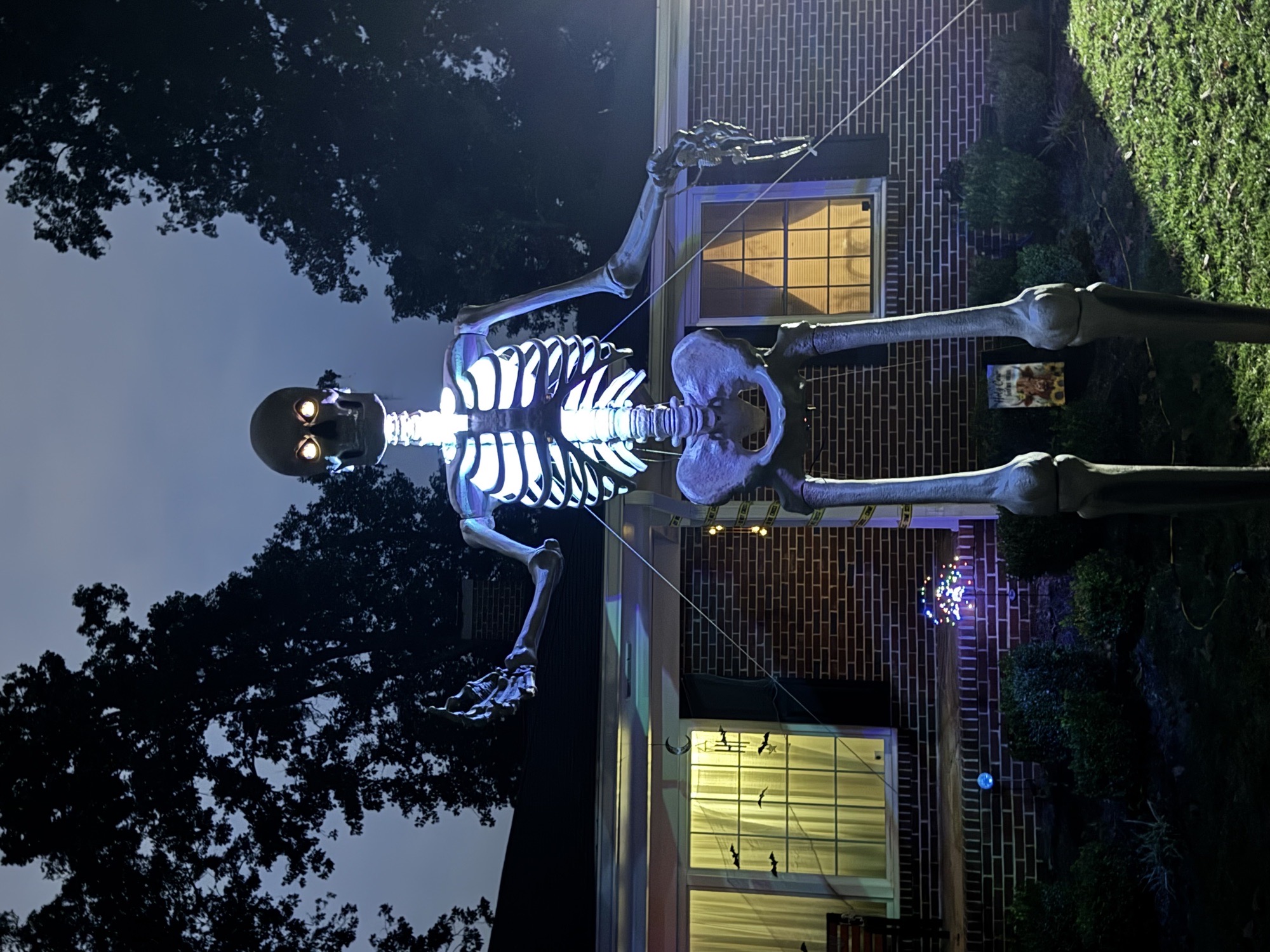Skelly Yard