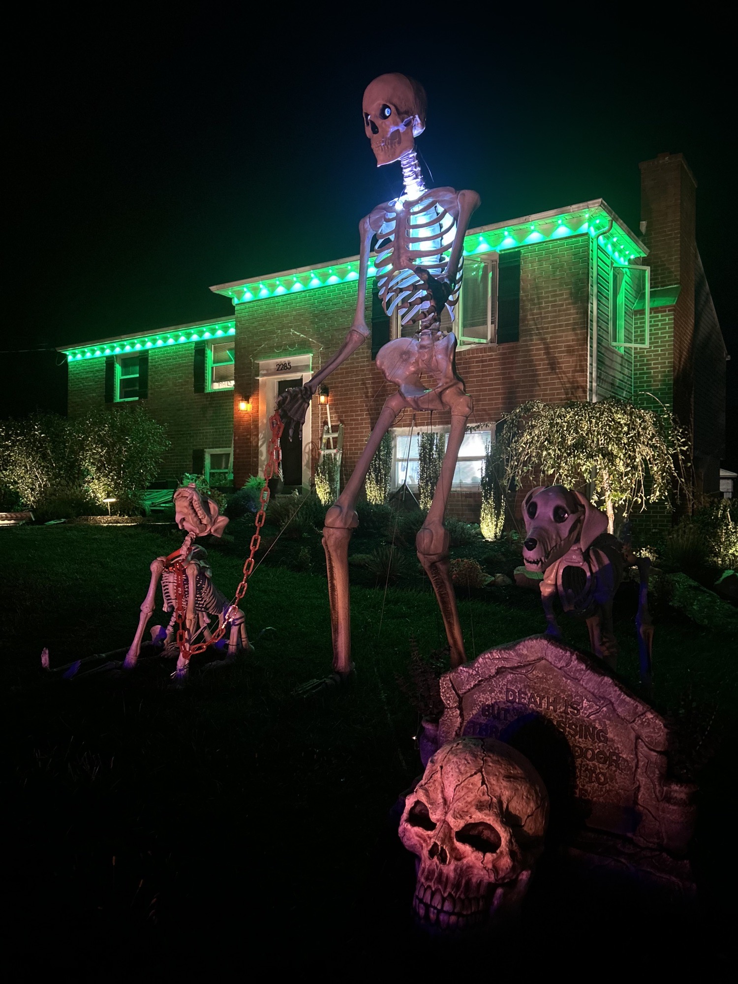 Stone Acre Skellies
