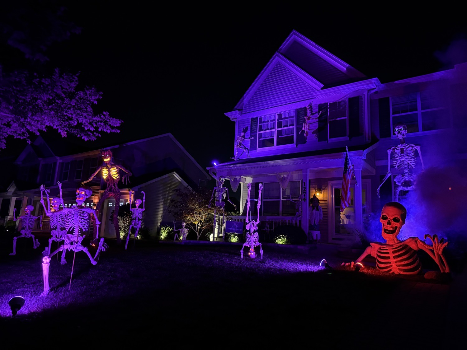 Bolingbrook Skeleton House