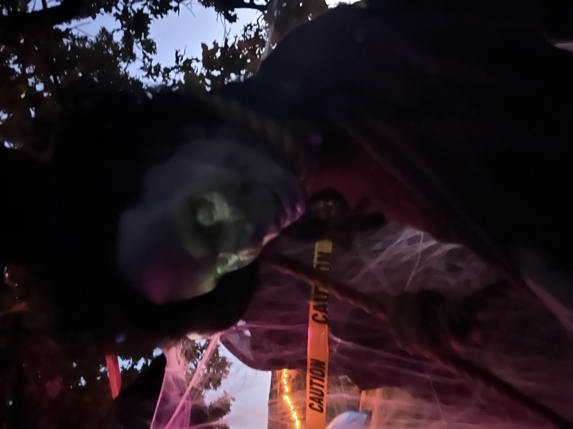 Needmore haunt