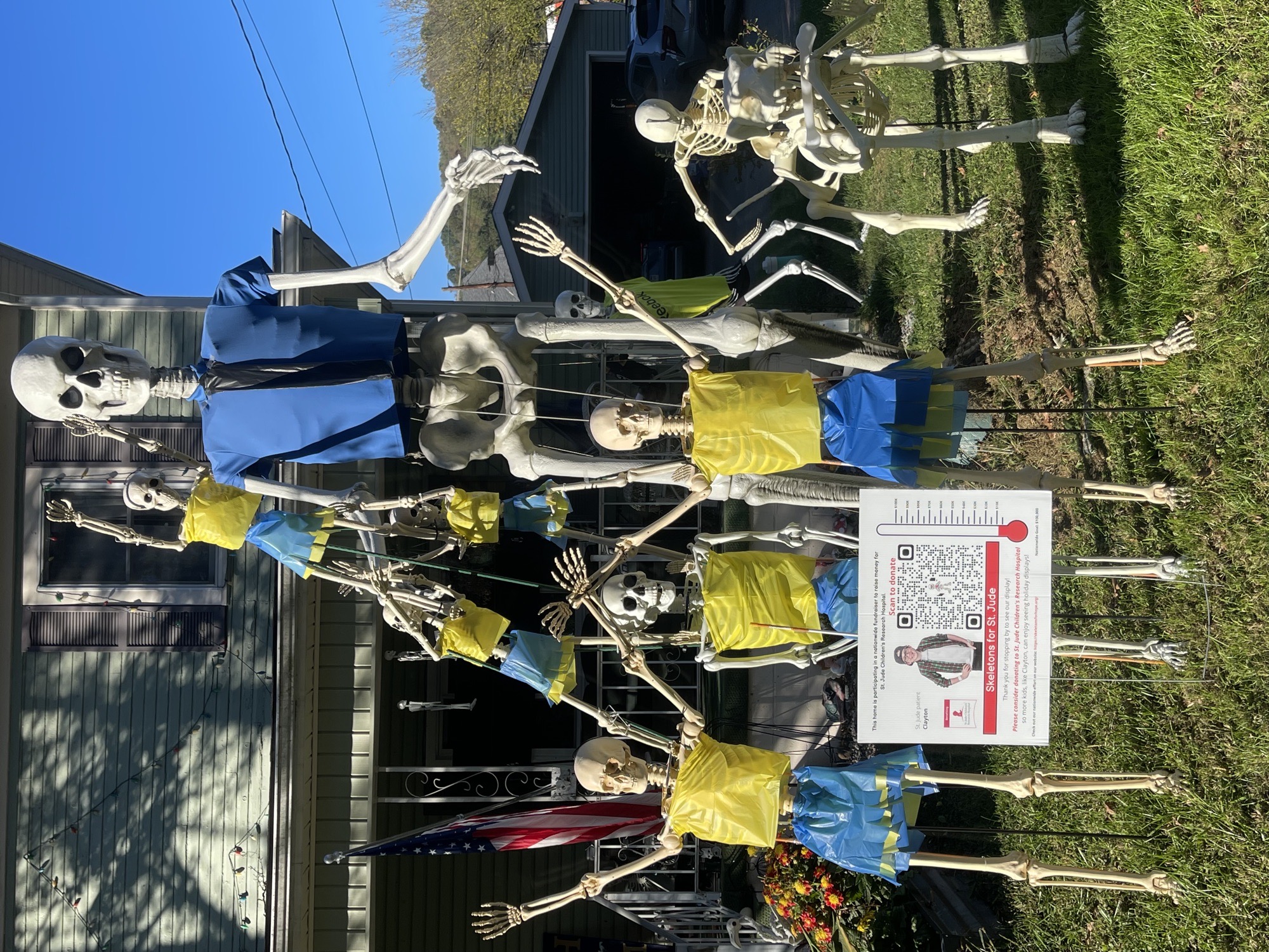 The Blueville Skeletons