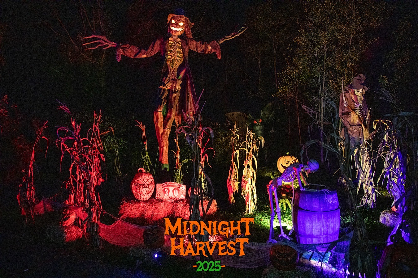 The Midnight Harvest & Last Stop Cemetery