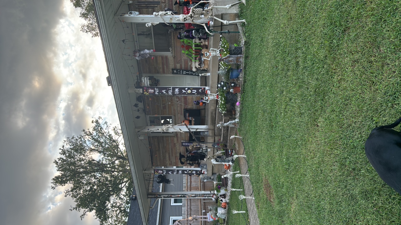 Zombie, Witches And Skeletons
