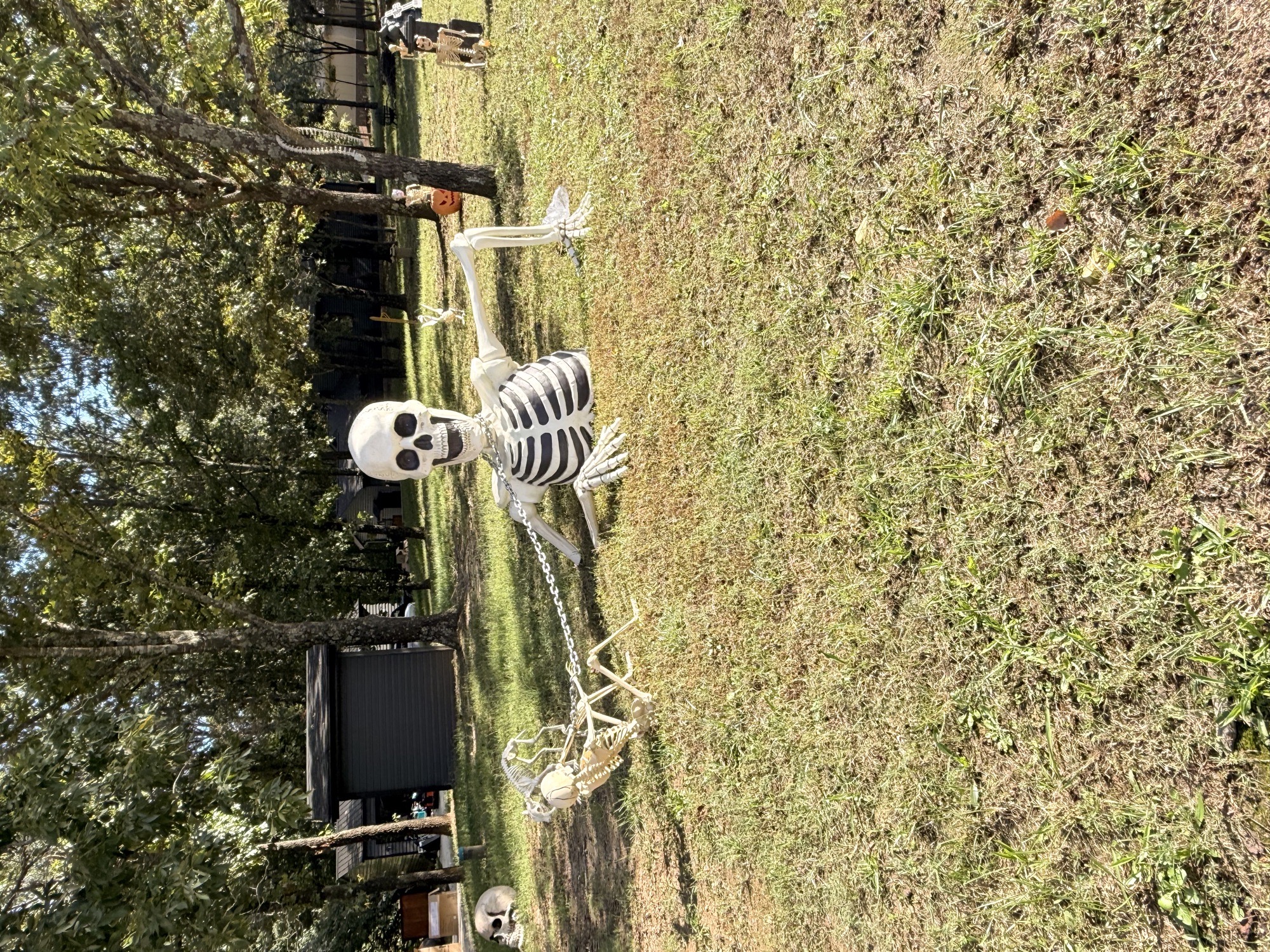 Haunted Cemetery