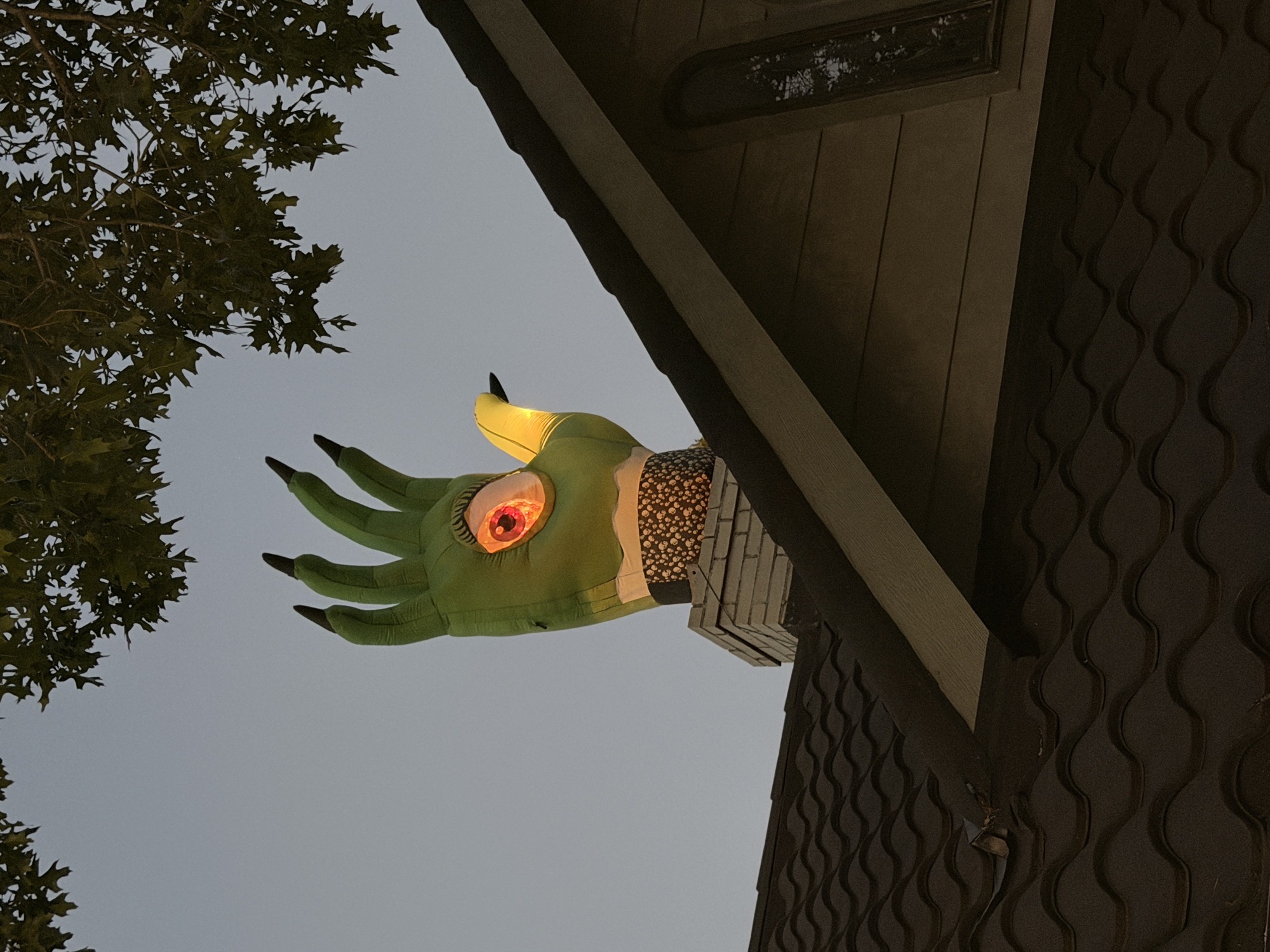 I Got My Eye On You