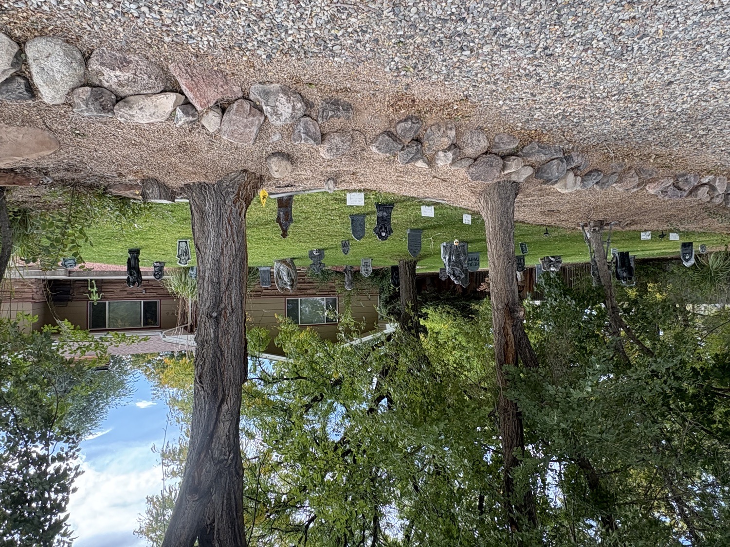 F.O.Z.A.’s Cemetery
