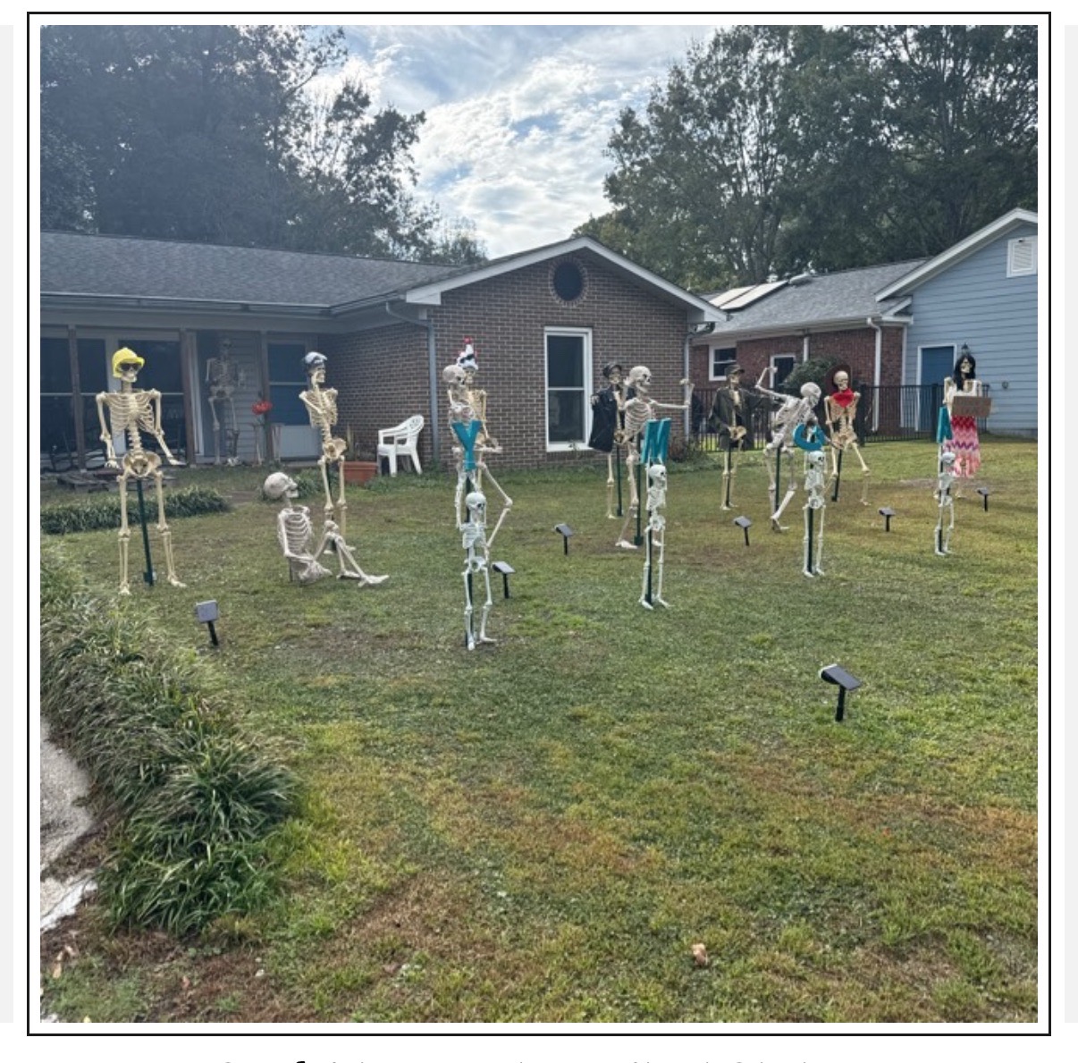 SurfsideSkellies