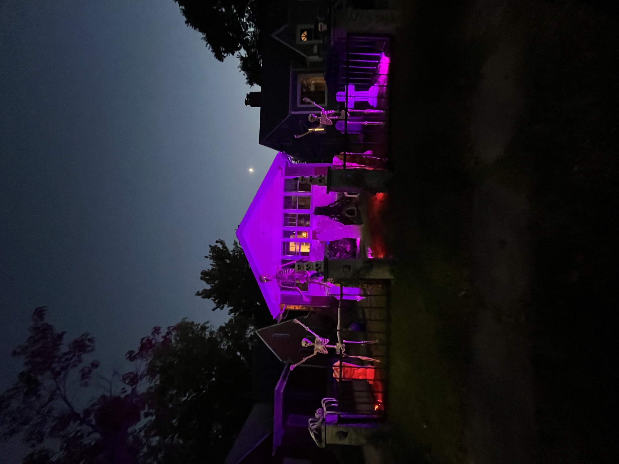 Skeleton Graveyard