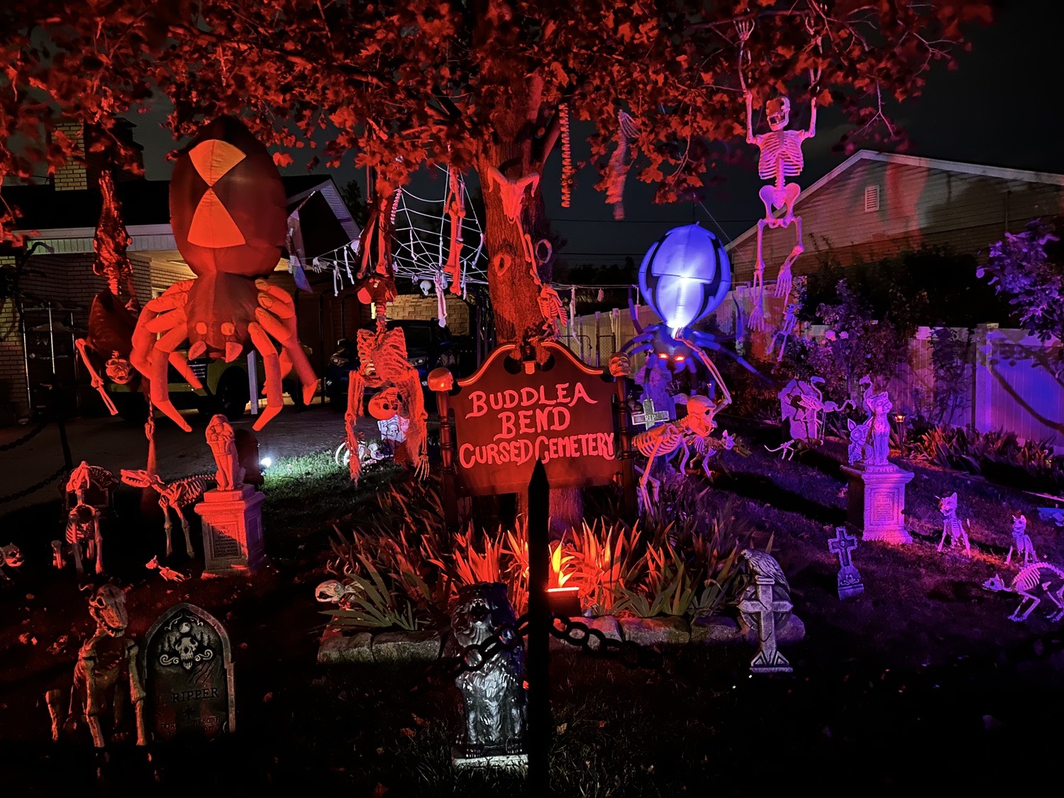 Buddlea Bend Cursed Cemetery
