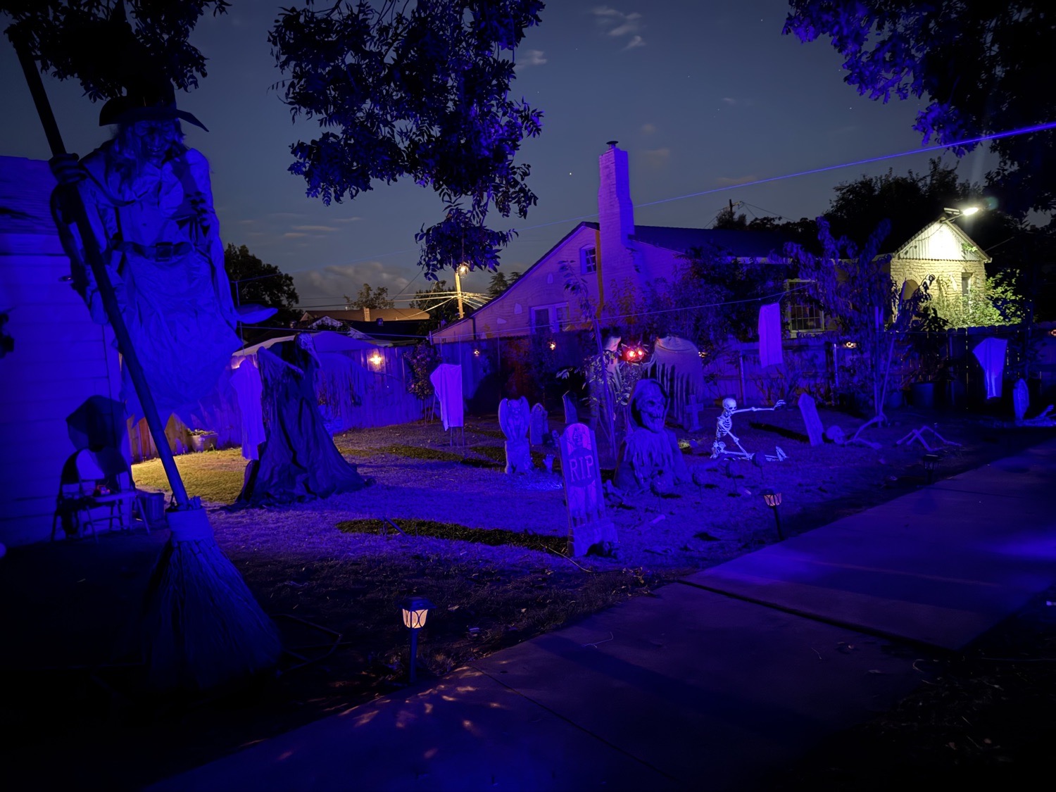 Jesters Graveyard