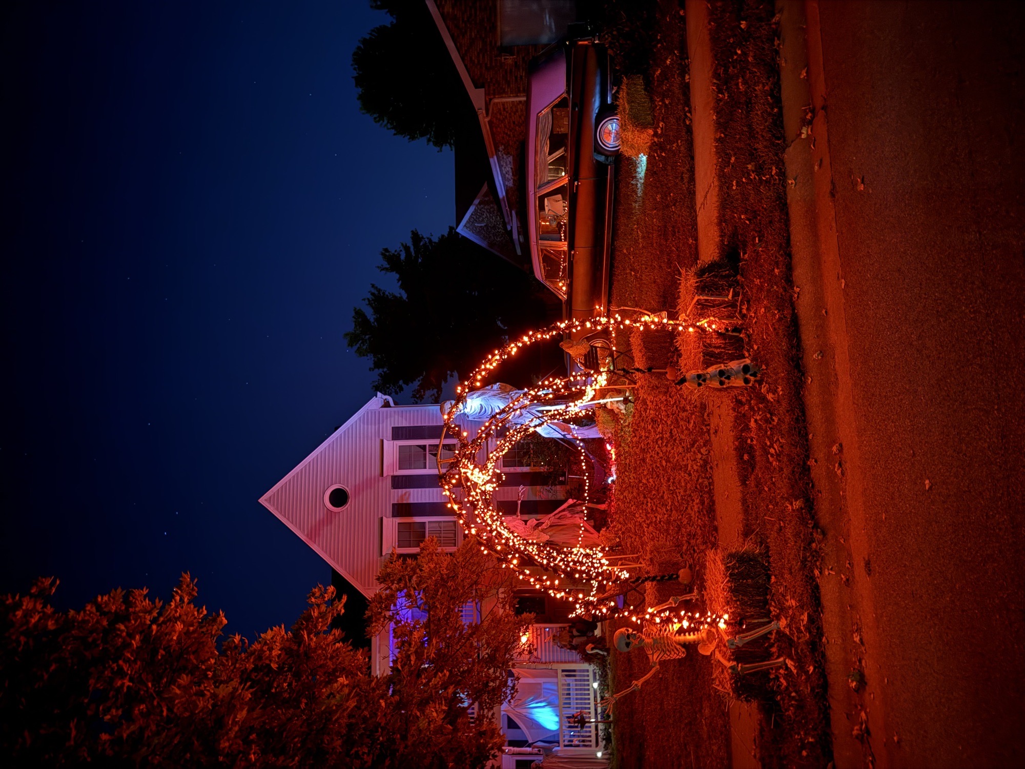 Red Bud Lane Haunted haven