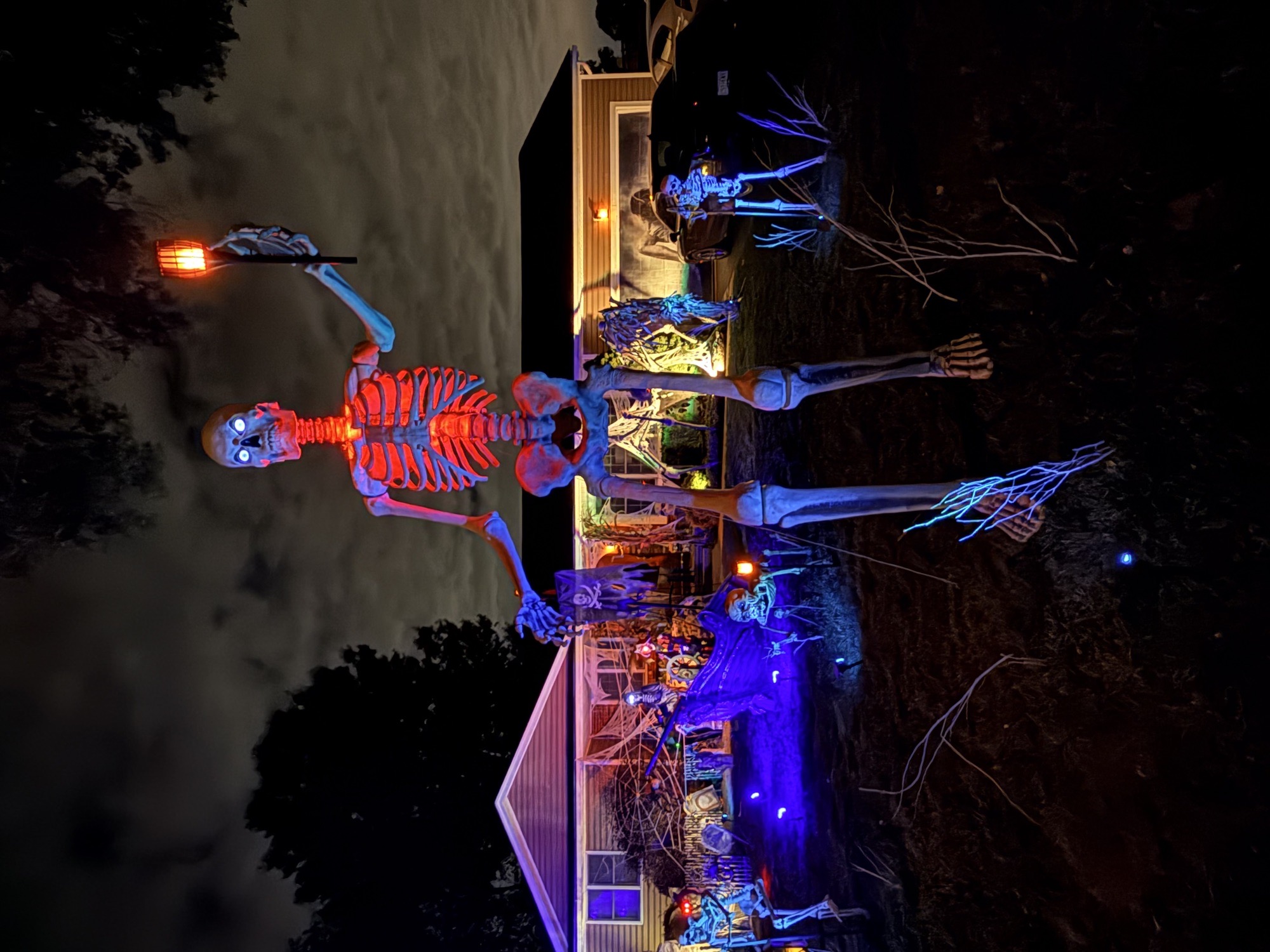 The Sullivan Skeleton House