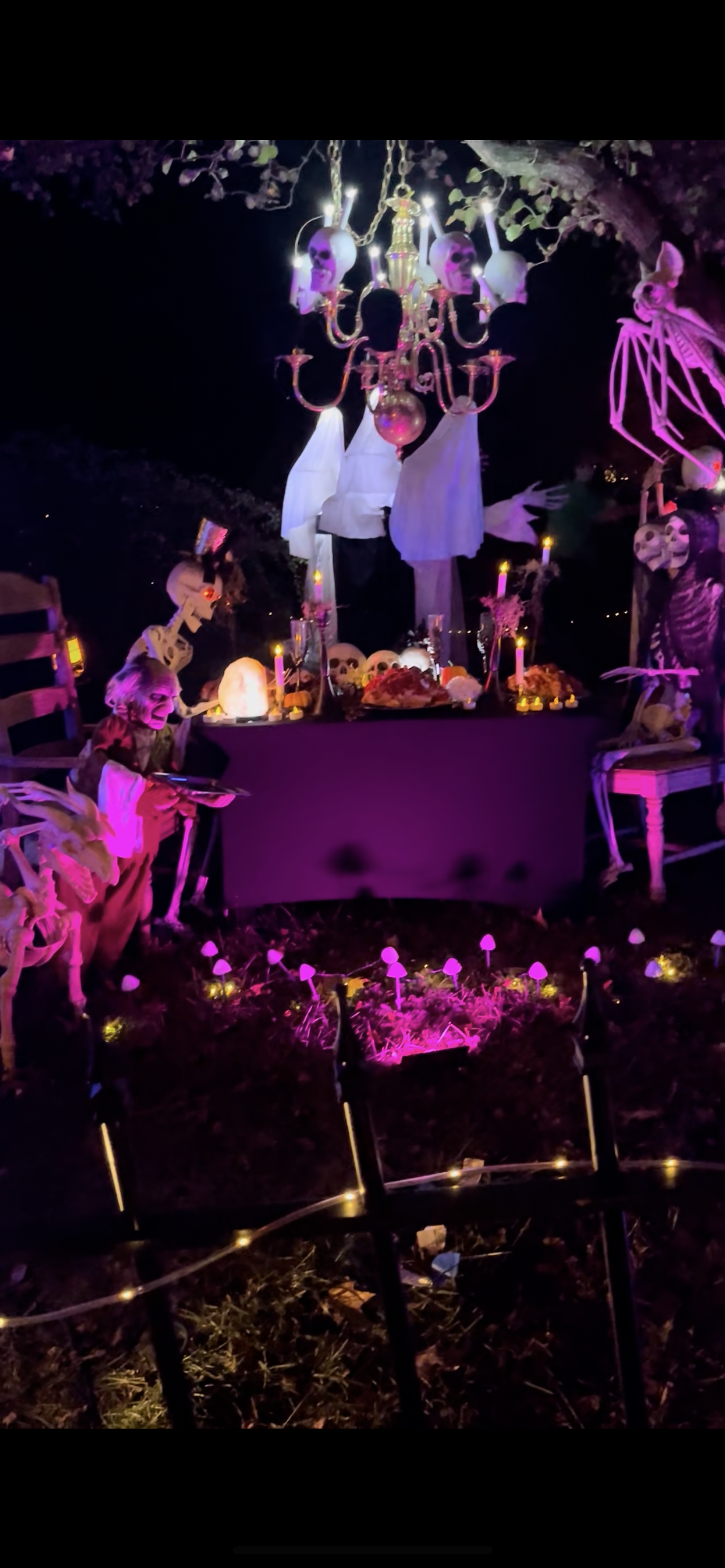 The Williams Family Yard Haunt