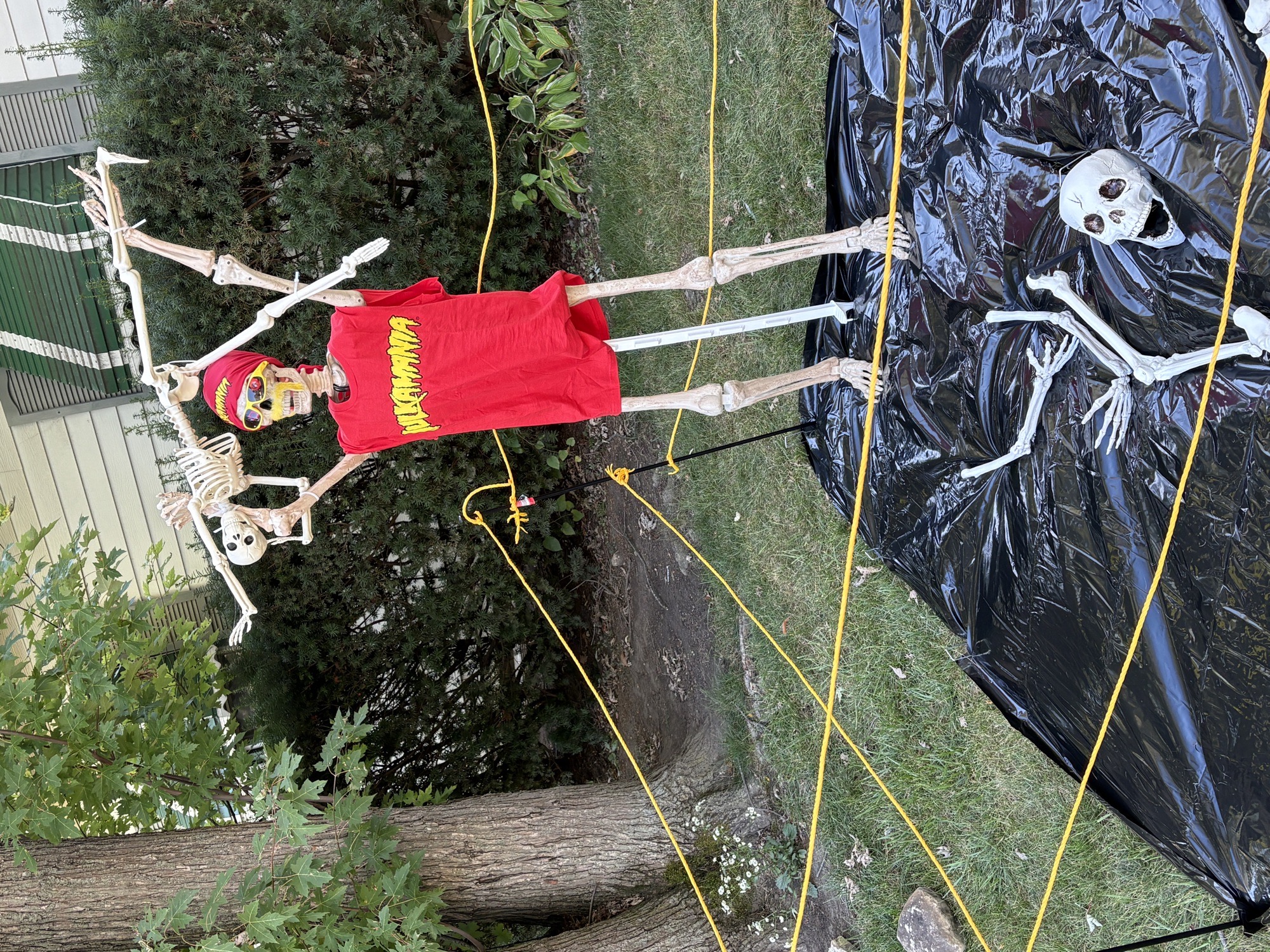 crazy skeletons