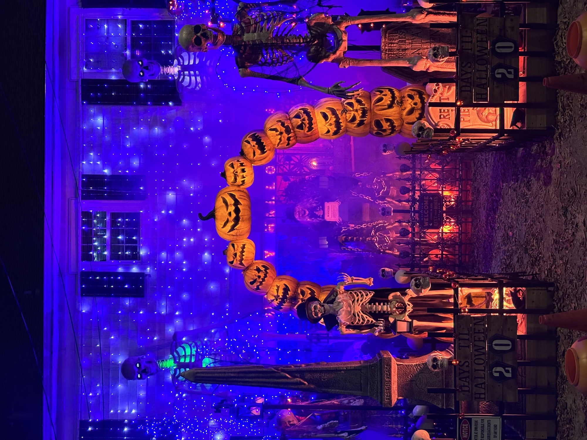 The Skeleton House