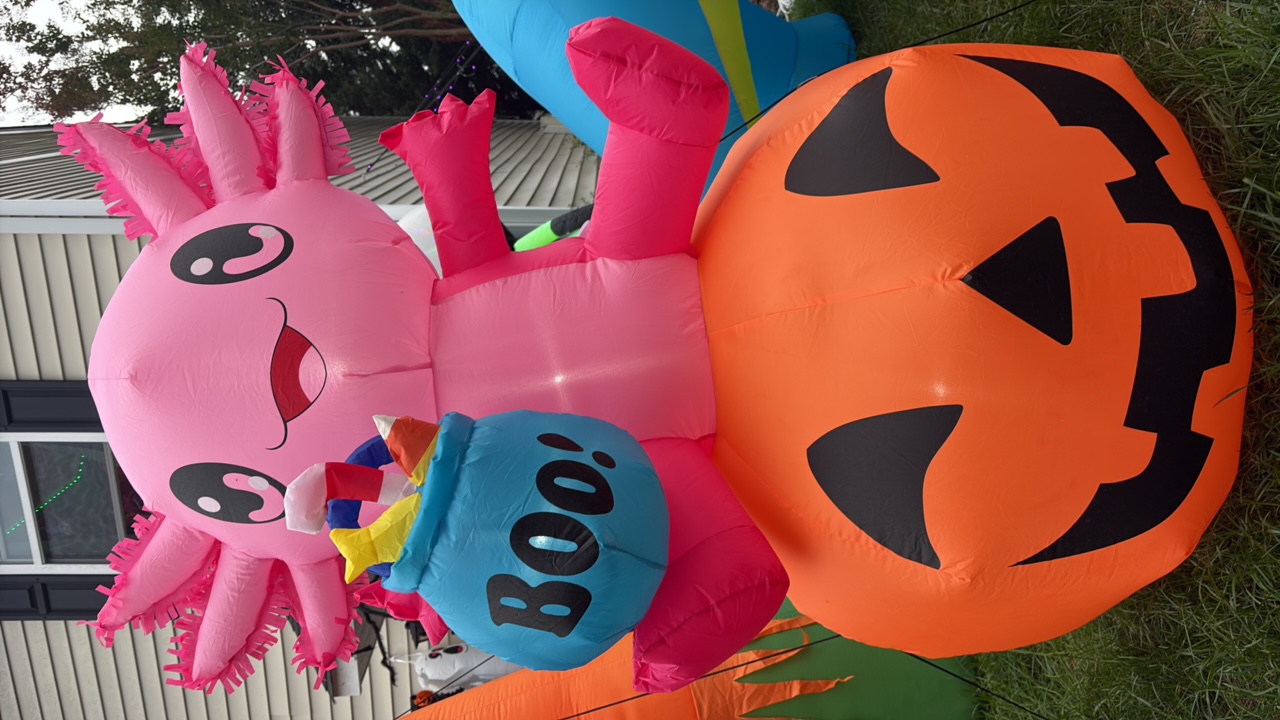Blow Up Display!