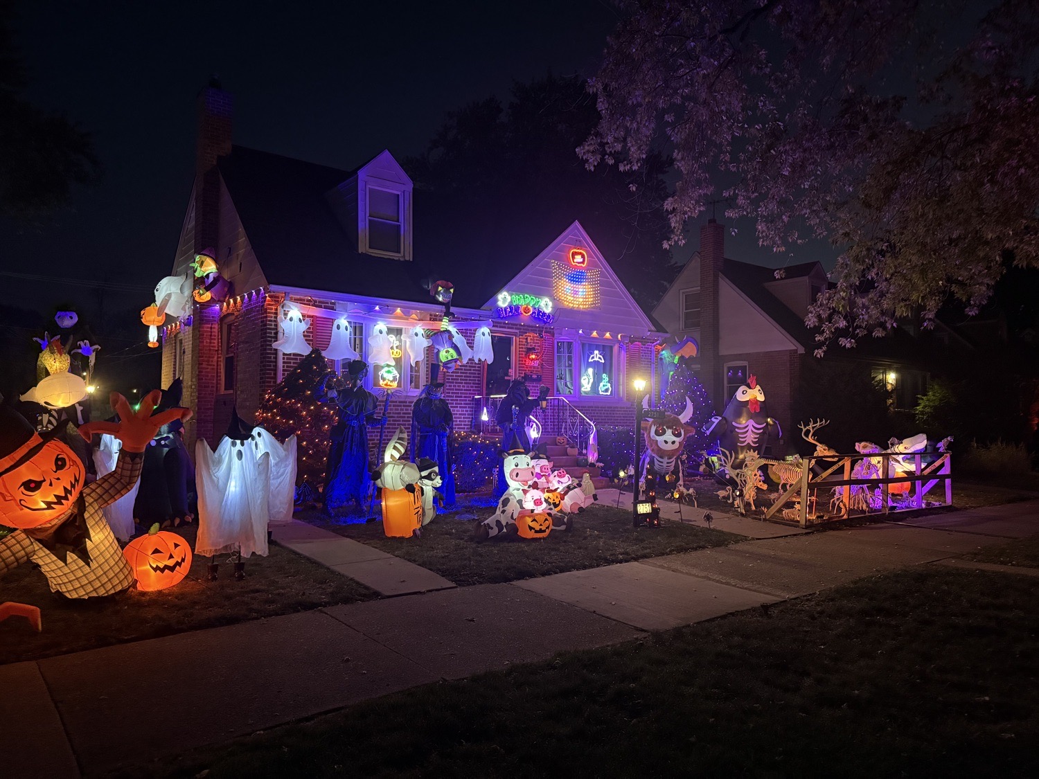 Spoooky Vibes 🎃