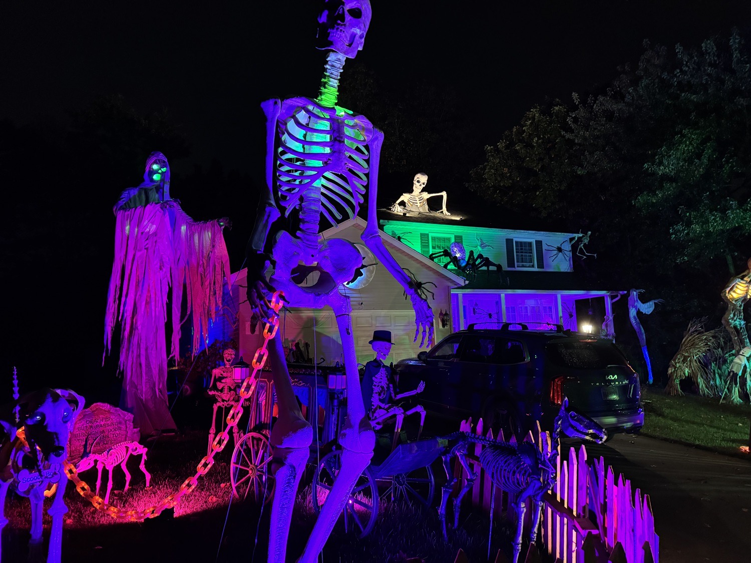 Haunt of St Andrew’s