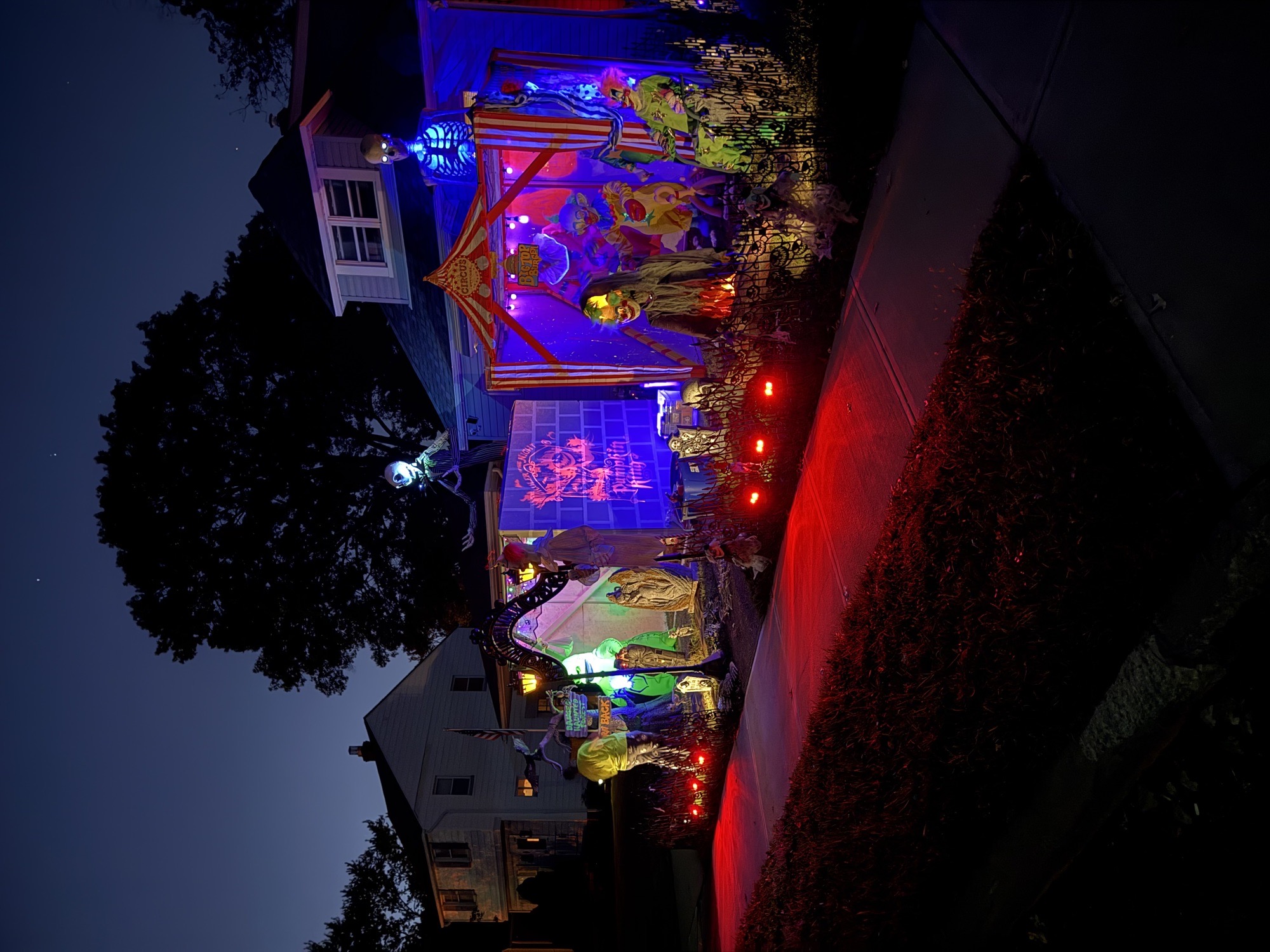 Halloween Display
