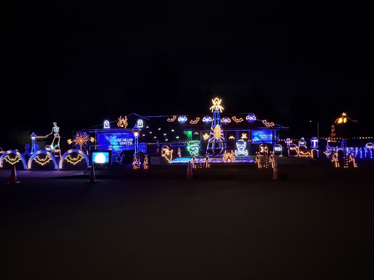 Schilling Lights On Lark