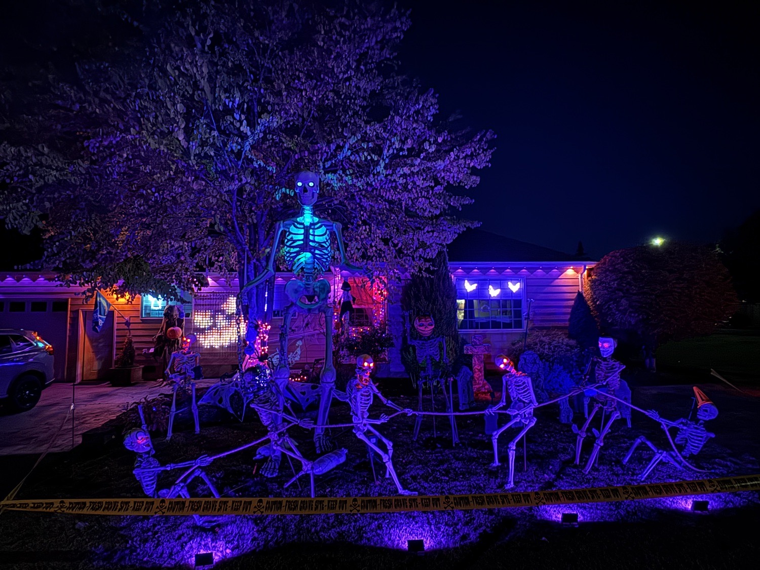 Skeleton display