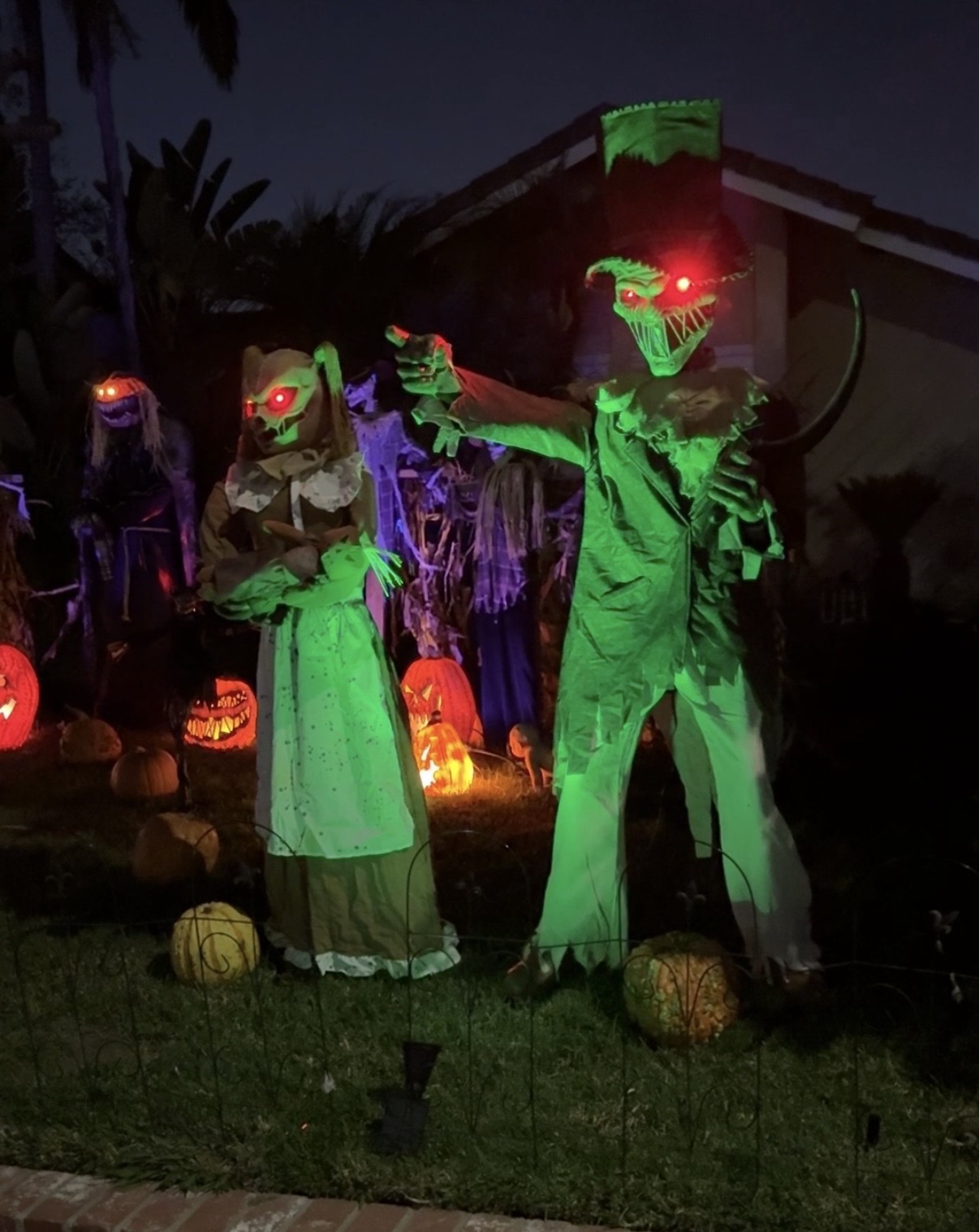 The Rotten Pumpkin Patch