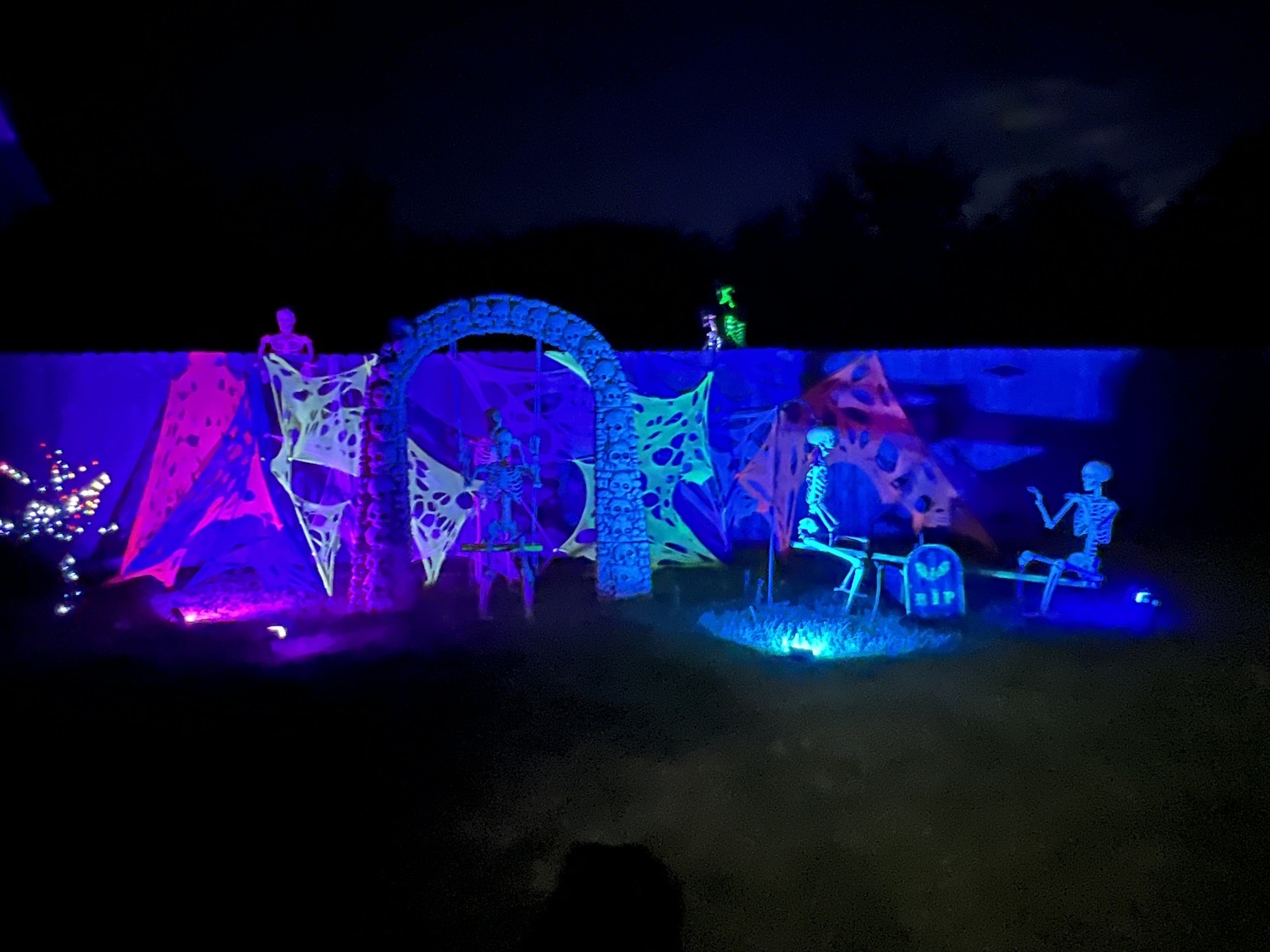 Trailwood Haunt
