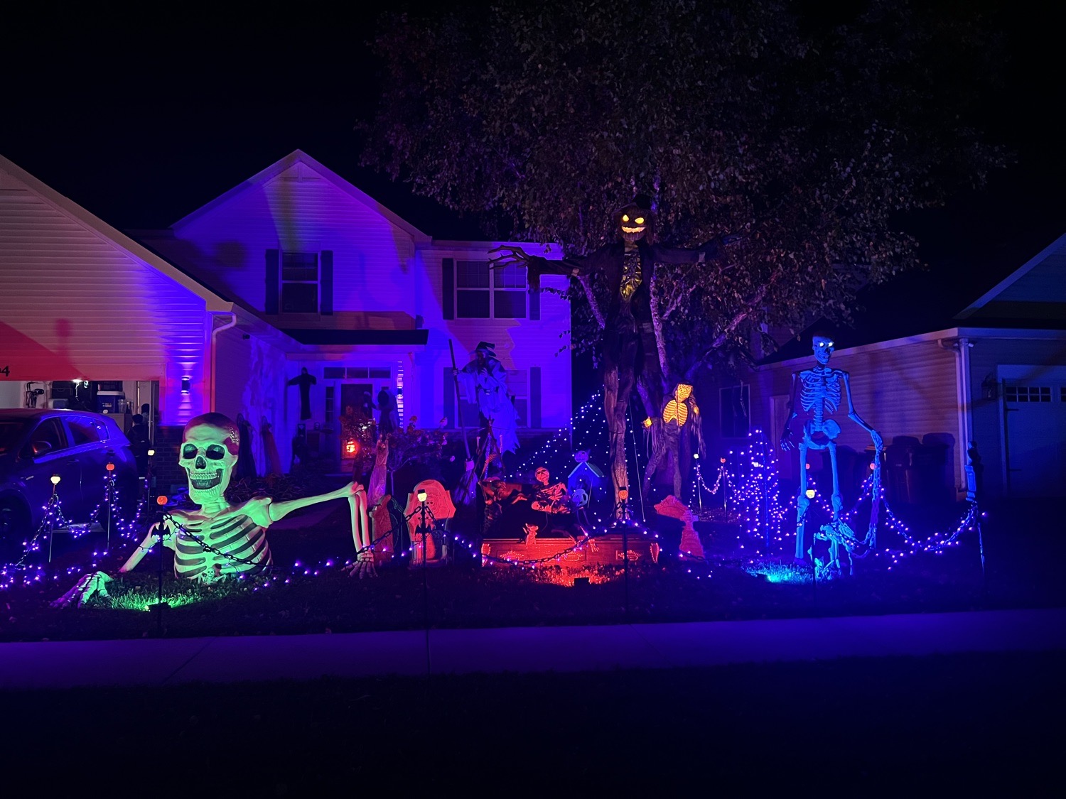 Skeltonnn Witchieee
