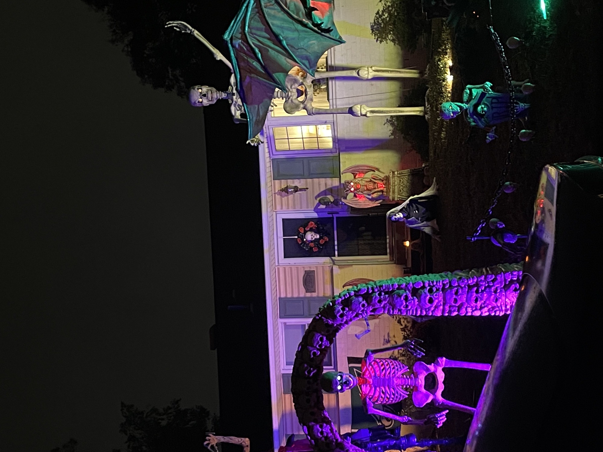 Skeleton Graveyard